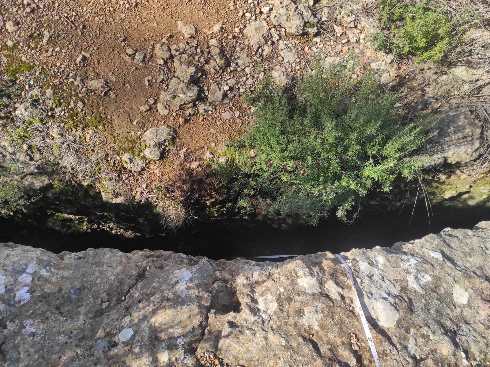 WhatsApp Image 2026-02-03 at 13.39.07 (4)