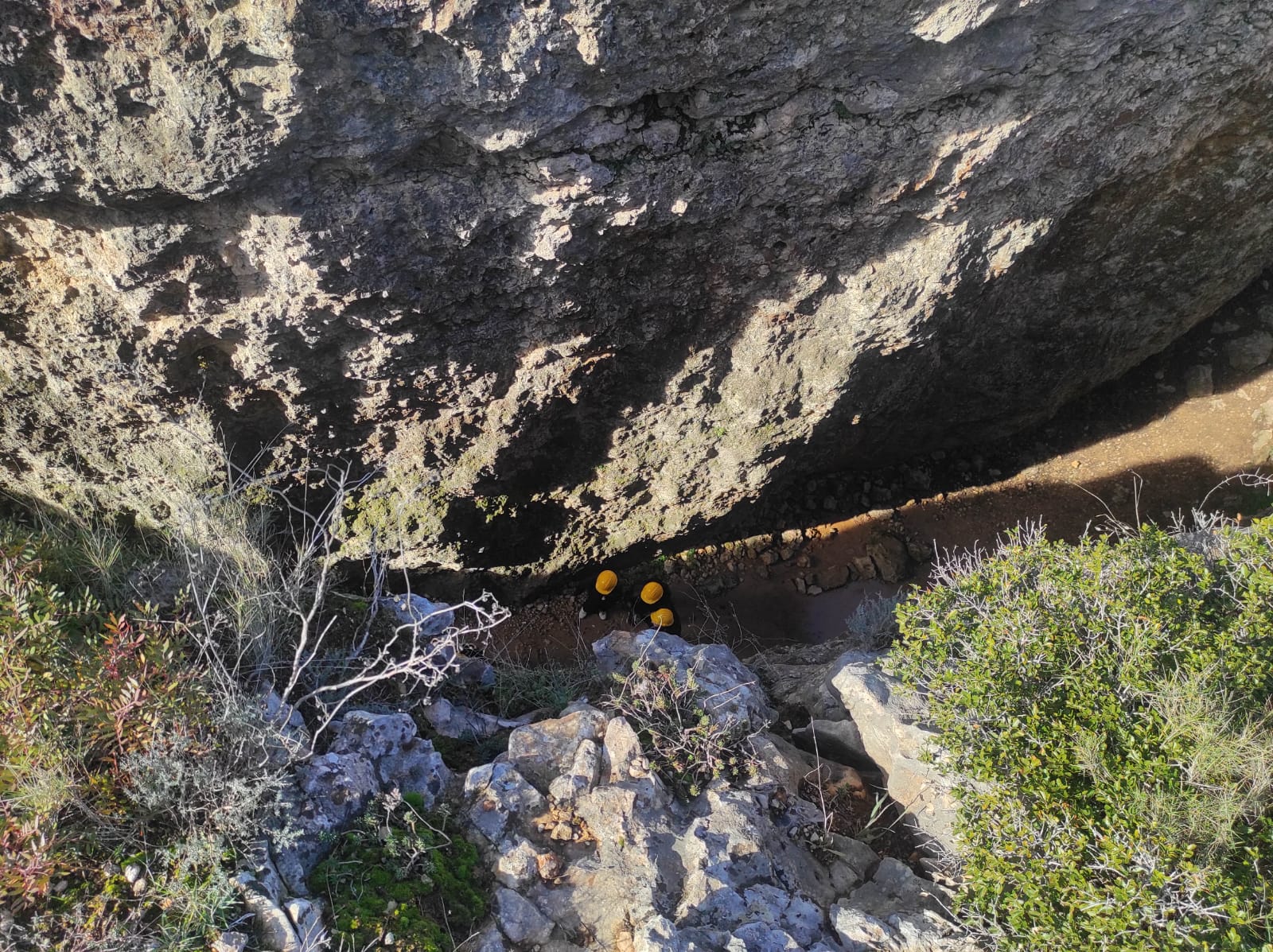 WhatsApp Image 2026-02-03 at 13.39.07 (5)