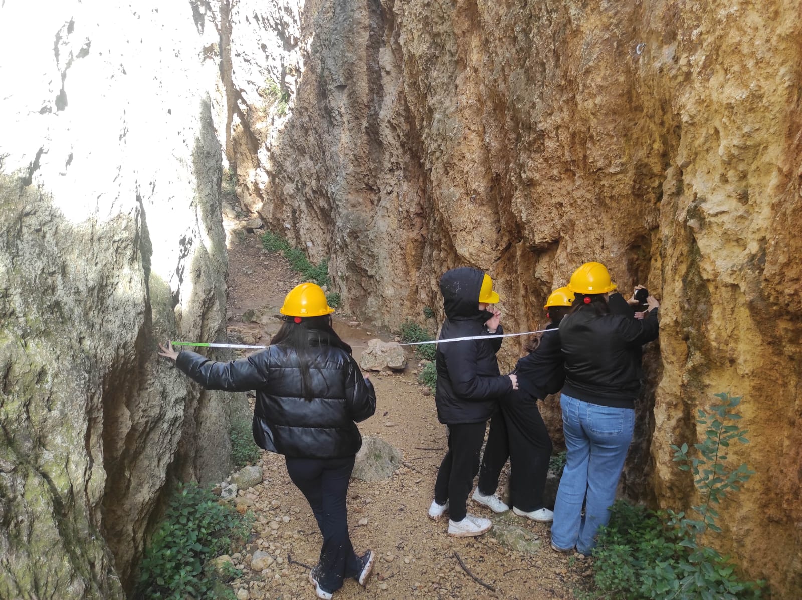 WhatsApp Image 2026-02-03 at 13.39.07 (6)