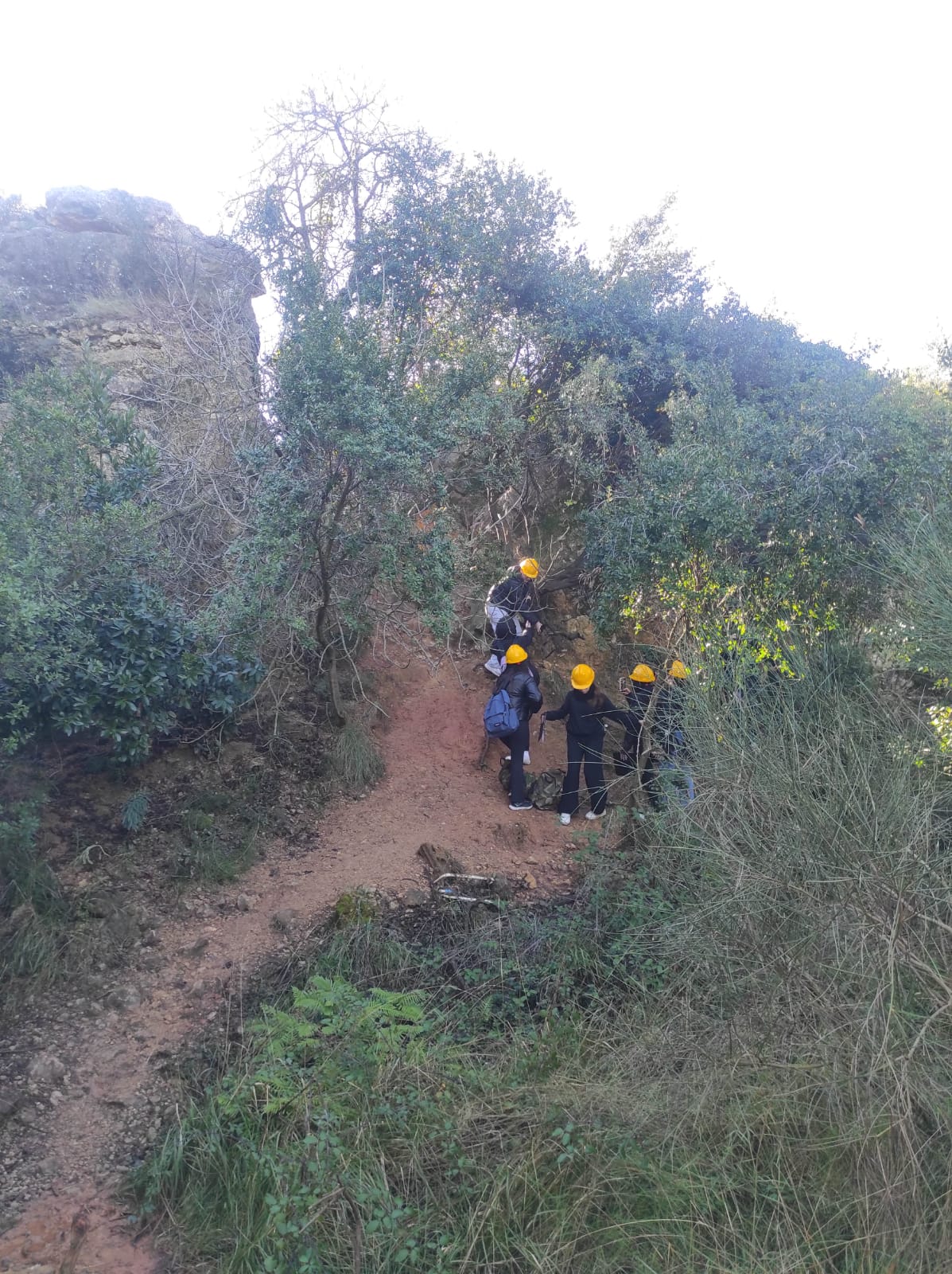 WhatsApp Image 2026-02-03 at 13.39.07 (7)