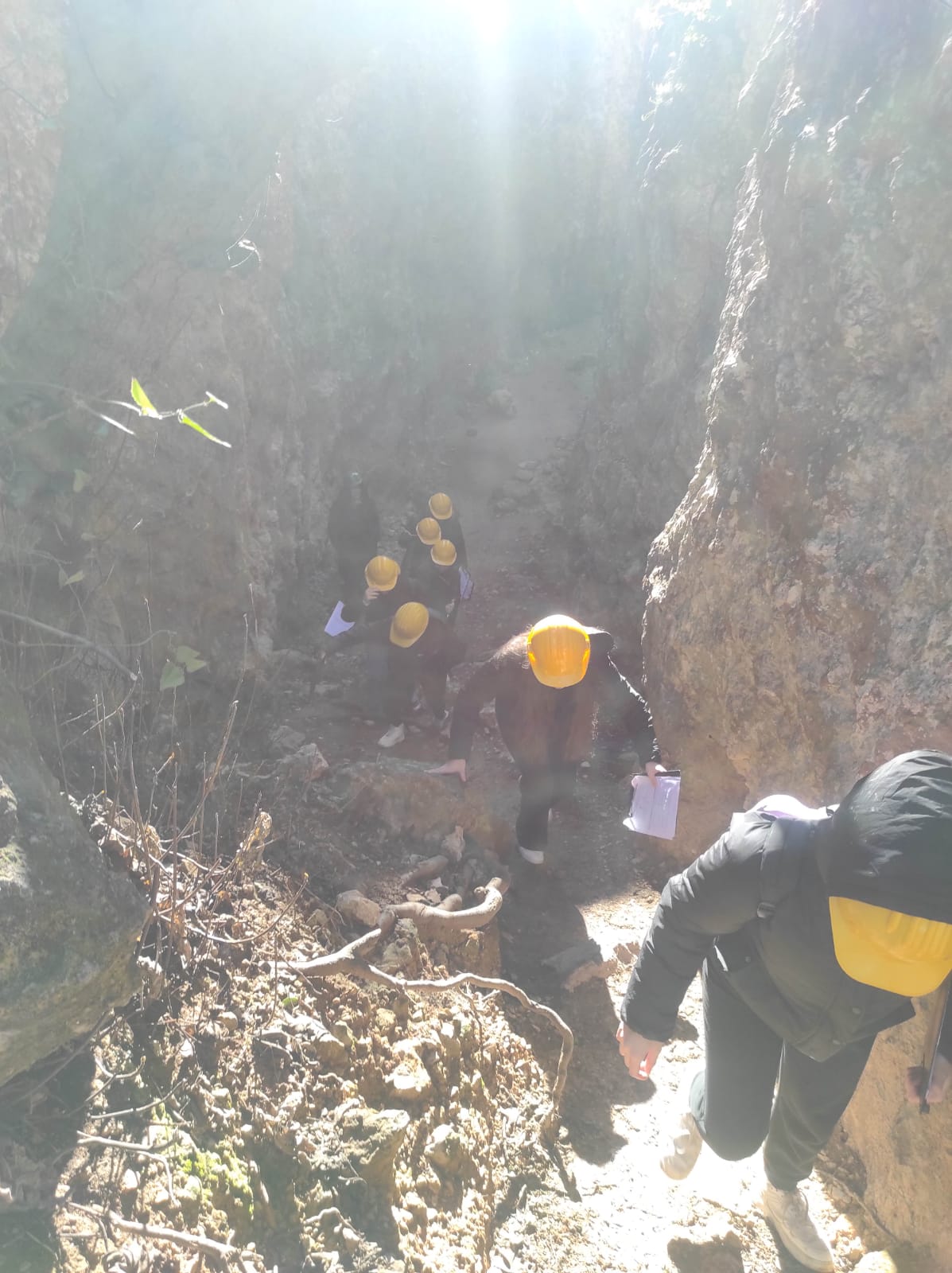 WhatsApp Image 2026-02-03 at 13.39.07 (8)