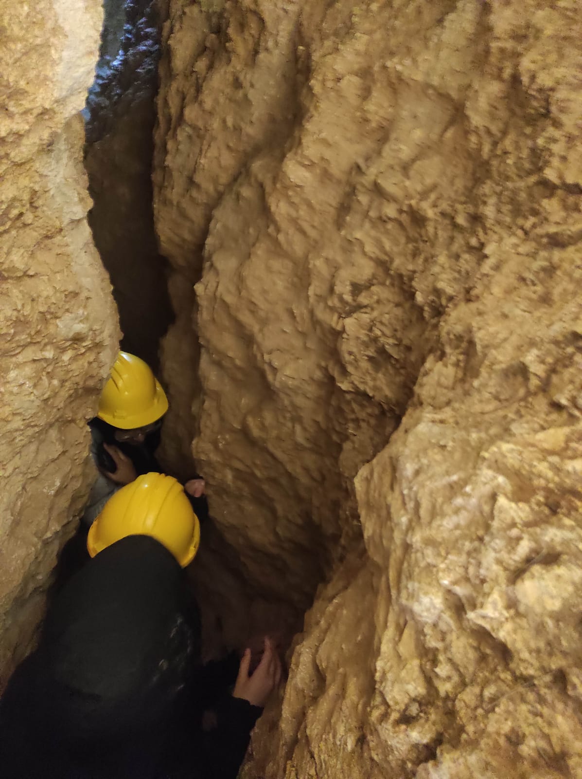 WhatsApp Image 2026-02-03 at 13.39.07