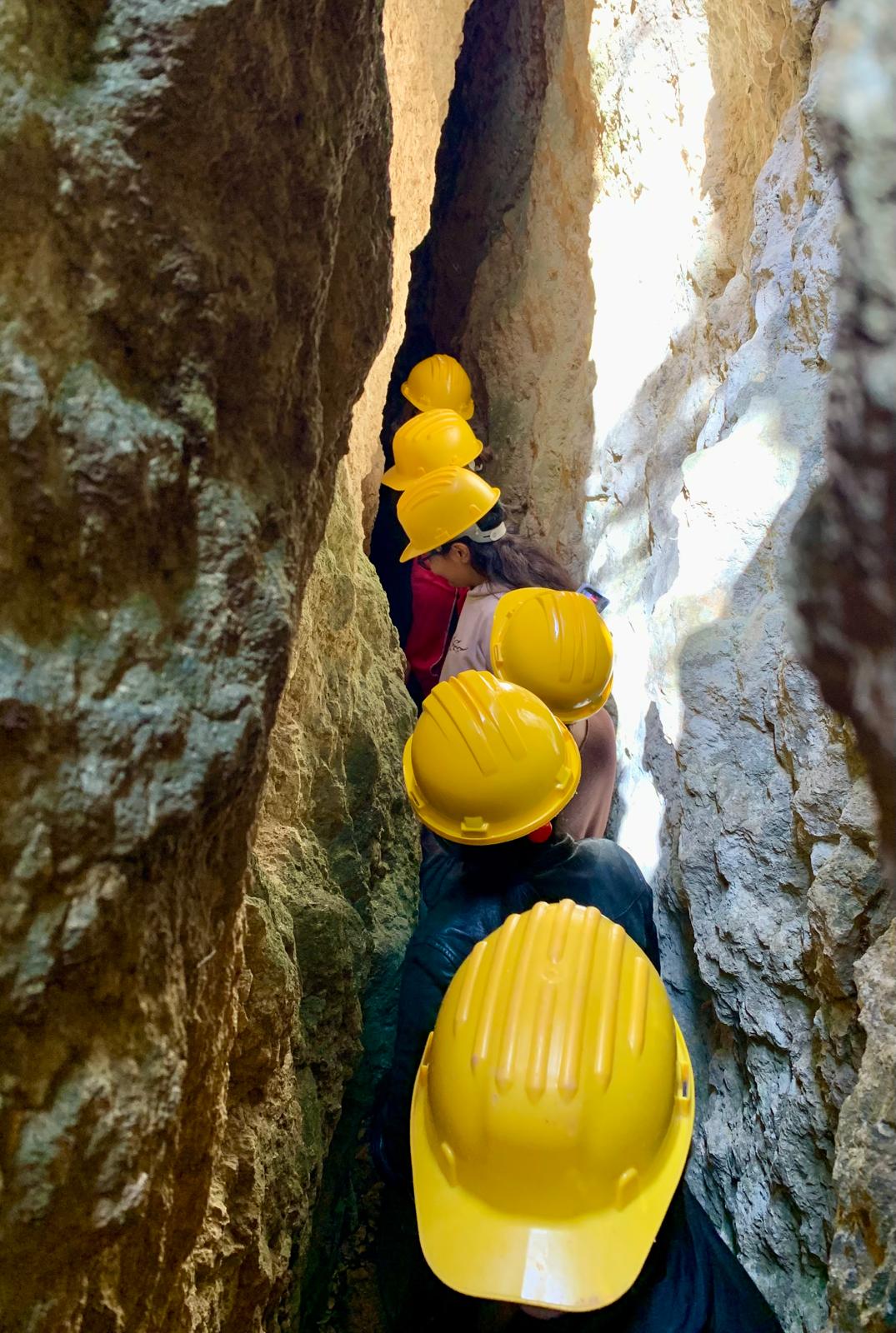 WhatsApp Image 2026-02-03 at 17.30.51 (2)