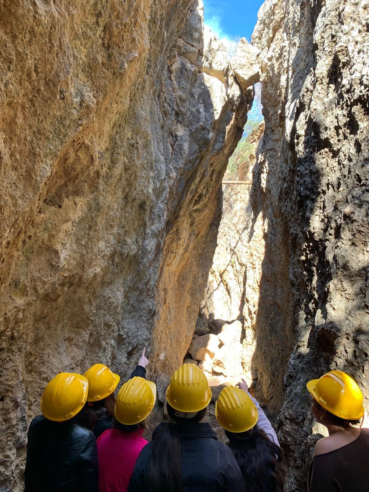 WhatsApp Image 2026-02-03 at 17.30.51 (3)