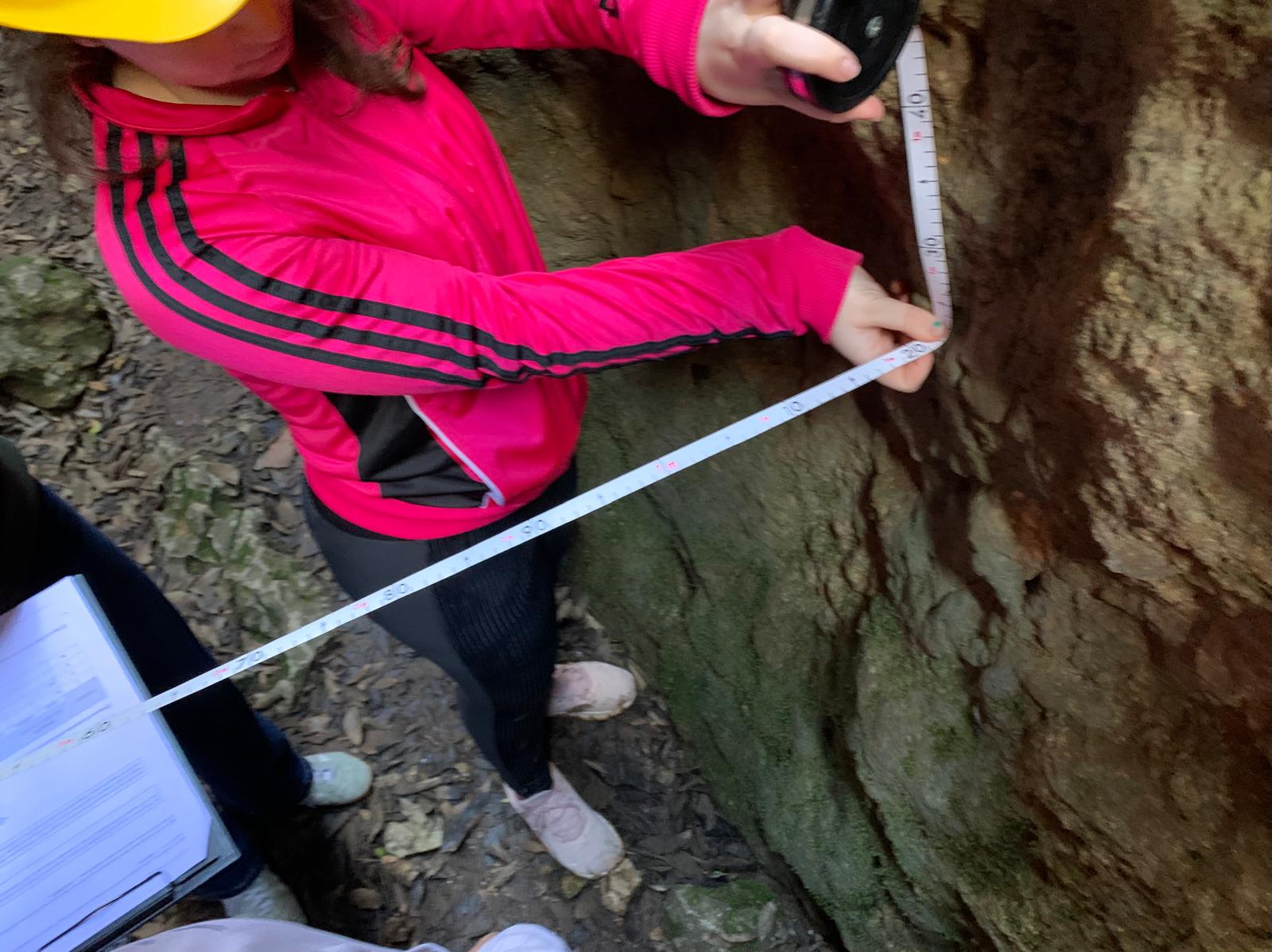 WhatsApp Image 2026-02-03 at 17.30.52 (1)