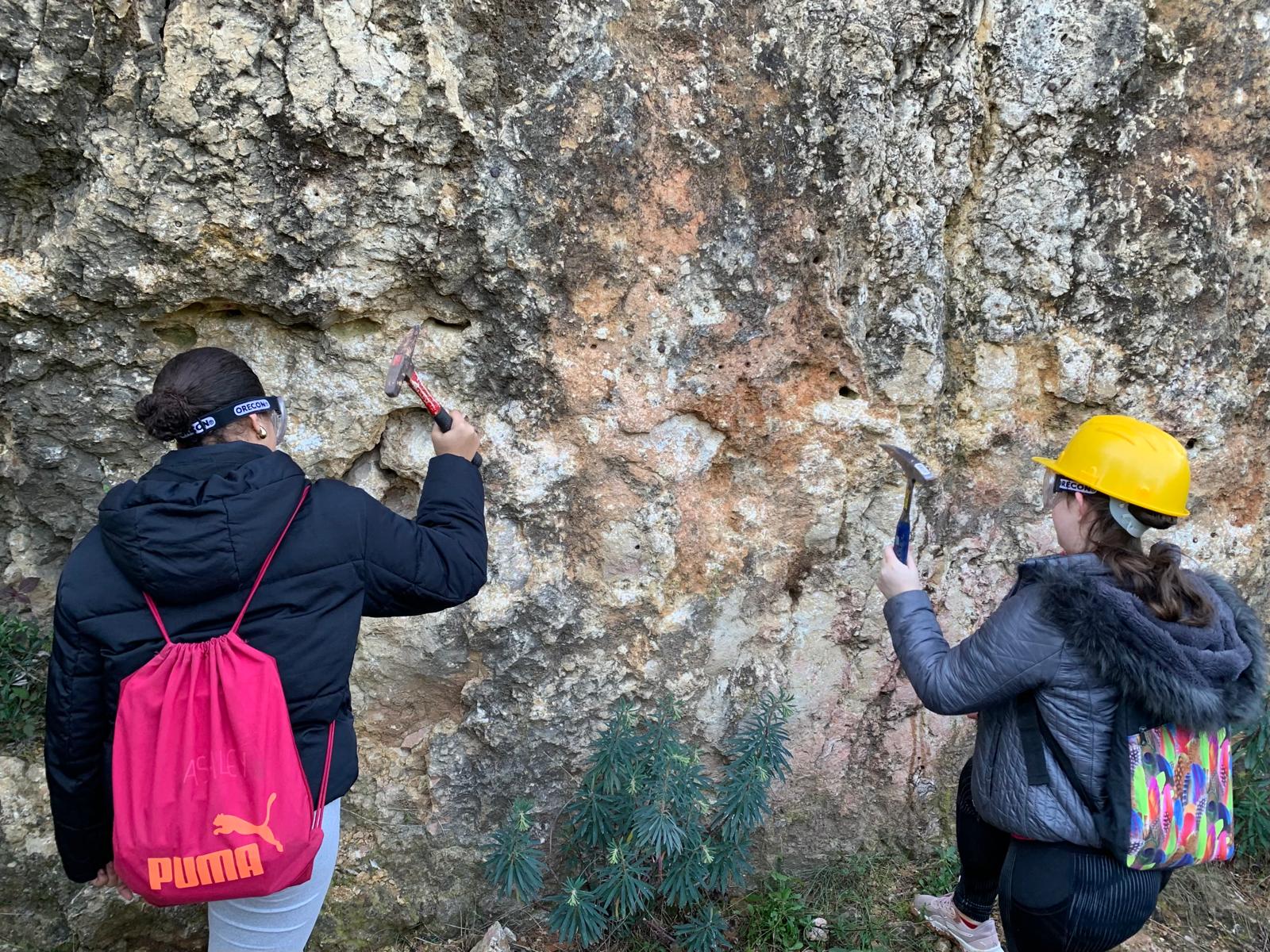 WhatsApp Image 2026-02-03 at 17.30.52 (2)