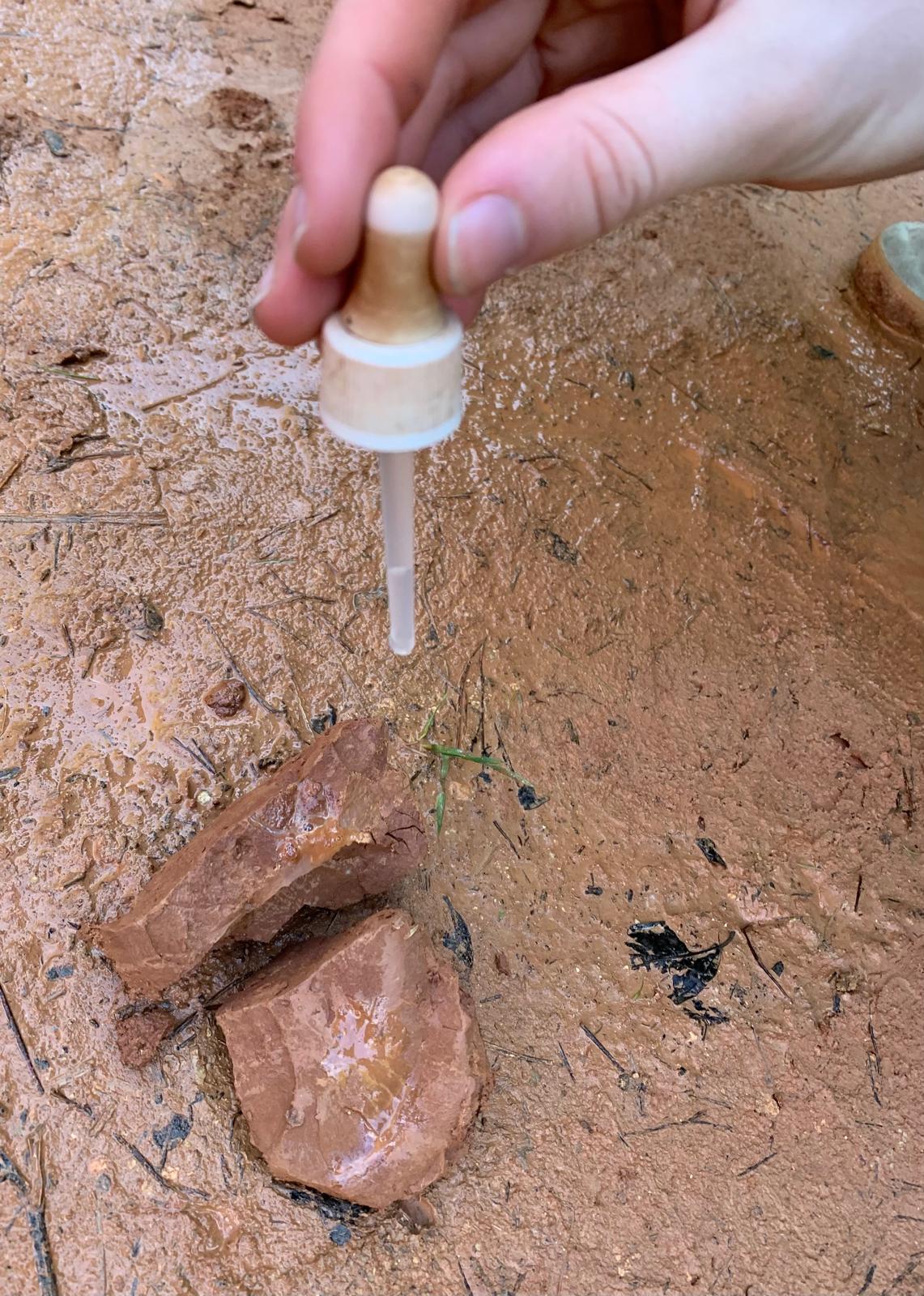 WhatsApp Image 2026-02-03 at 17.30.52 (3)