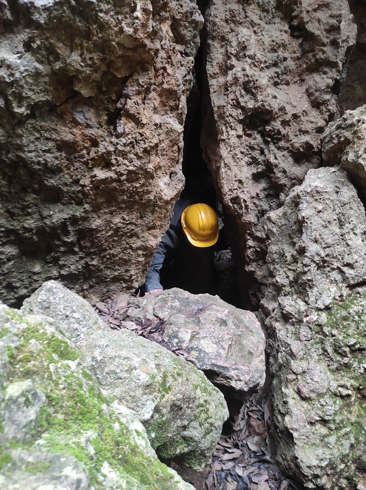 WhatsApp Image 2026-02-05 at 09.55.19