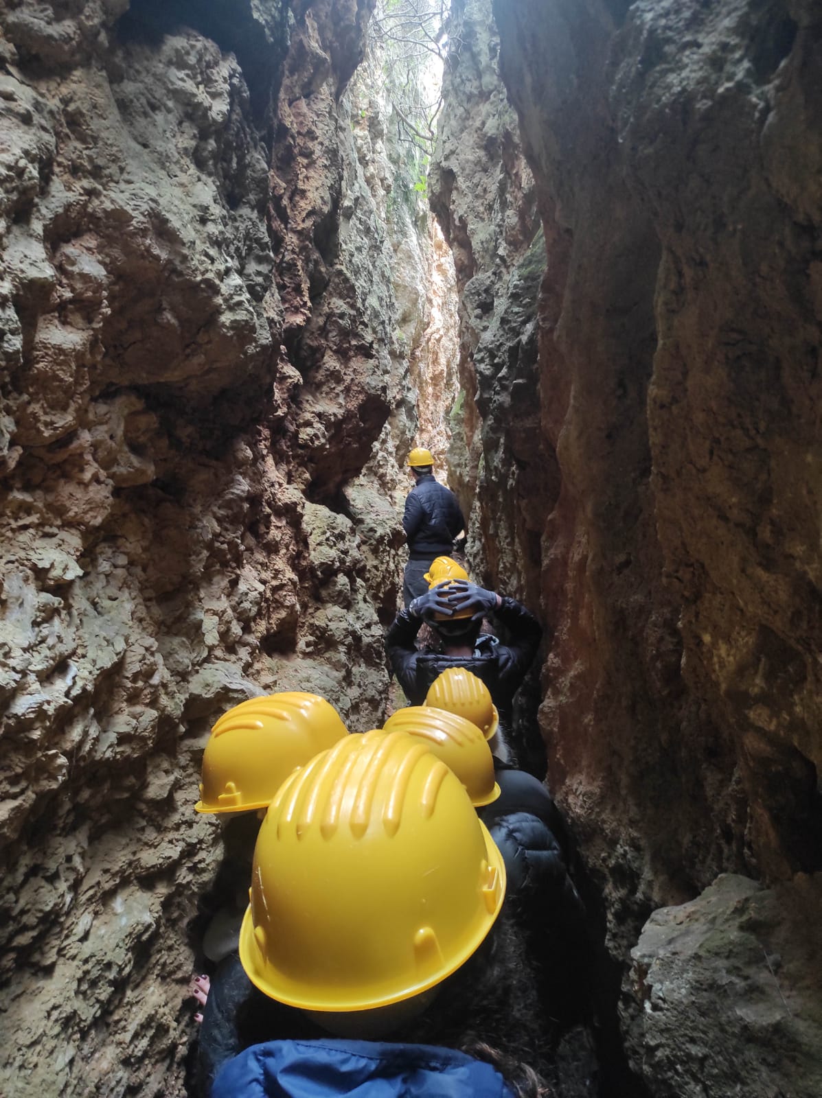 WhatsApp Image 2026-02-05 at 09.55.20 (2)