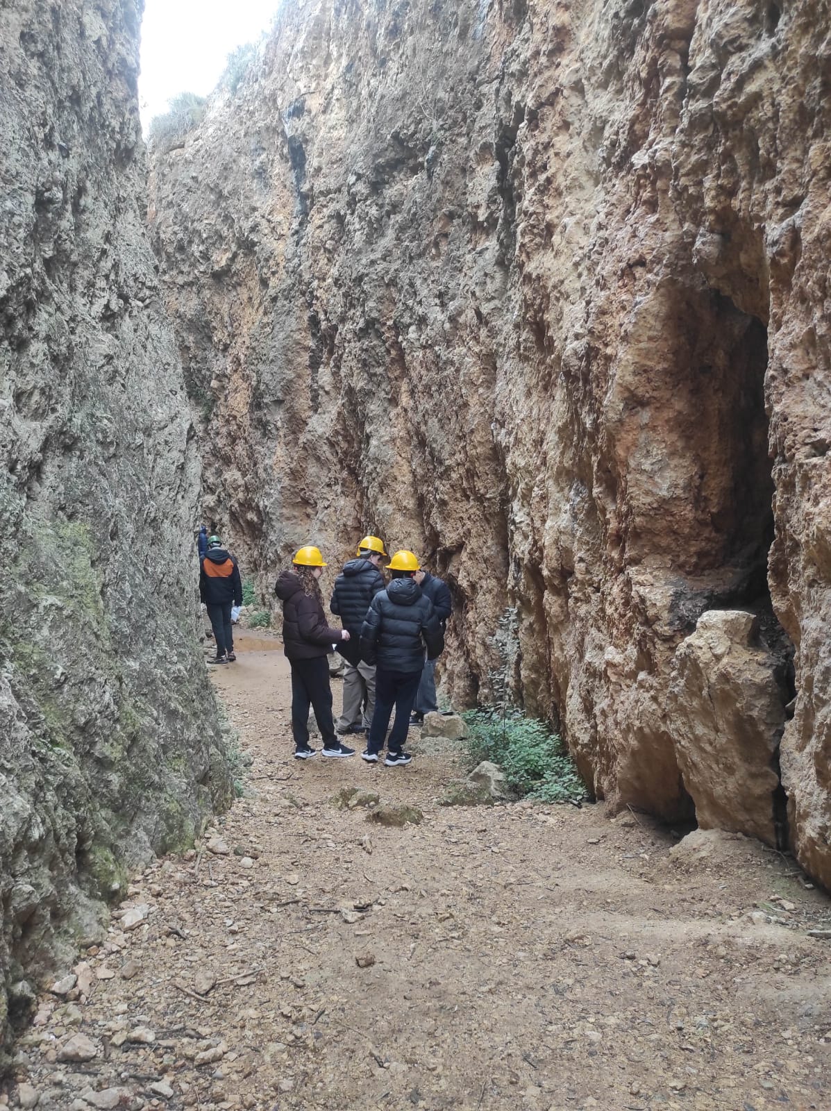 WhatsApp Image 2026-02-05 at 09.55.21 (1)