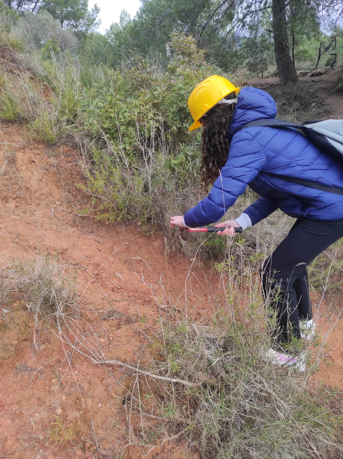 WhatsApp Image 2026-02-05 at 09.55.21 (3)