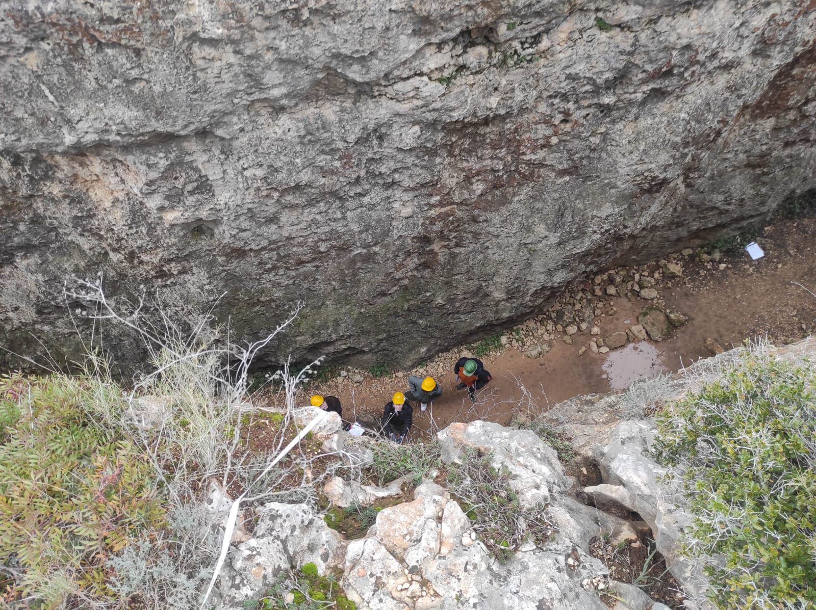 WhatsApp Image 2026-02-05 at 09.55.21