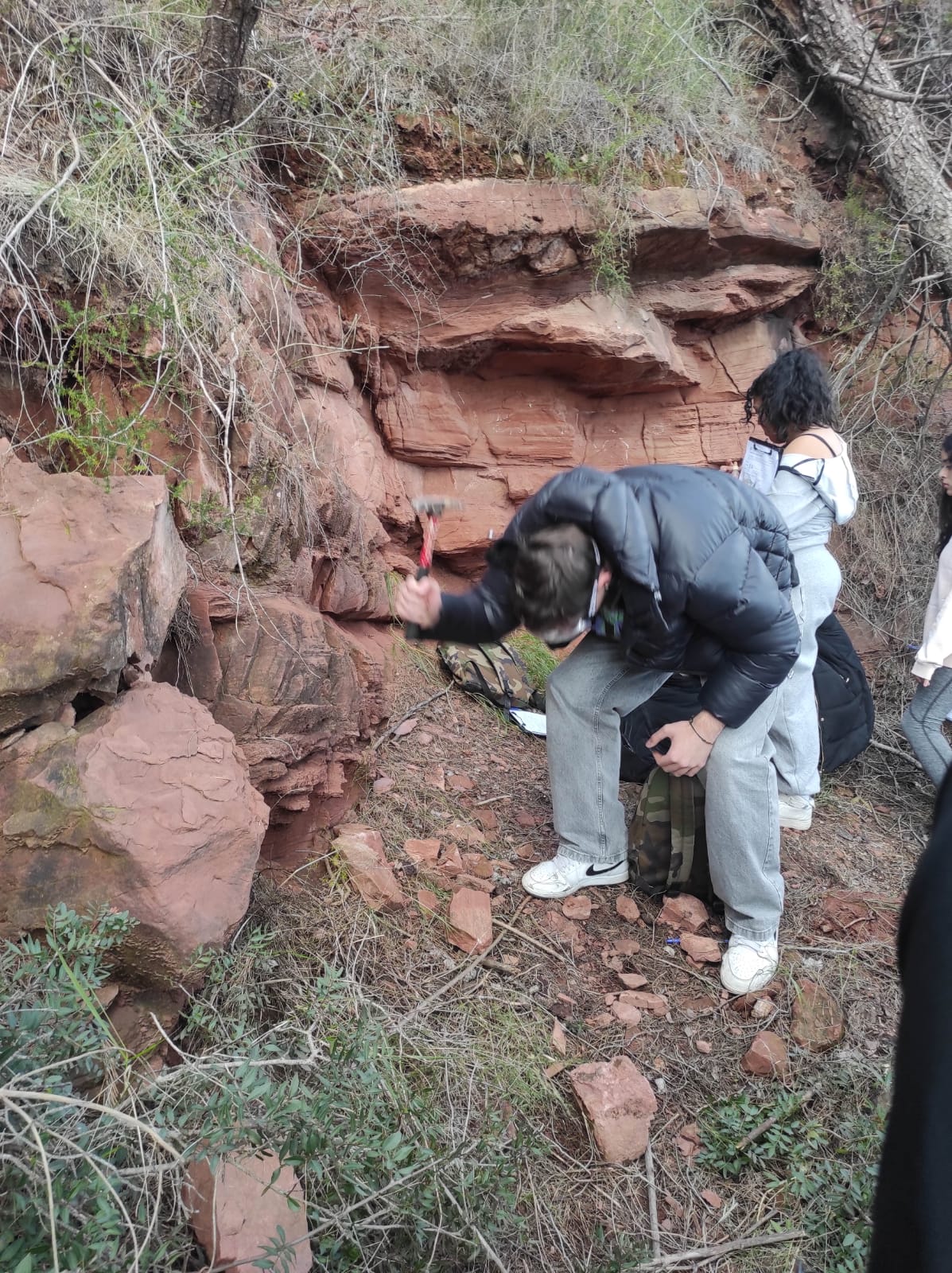 WhatsApp Image 2026-02-09 at 09.03.16 (2)