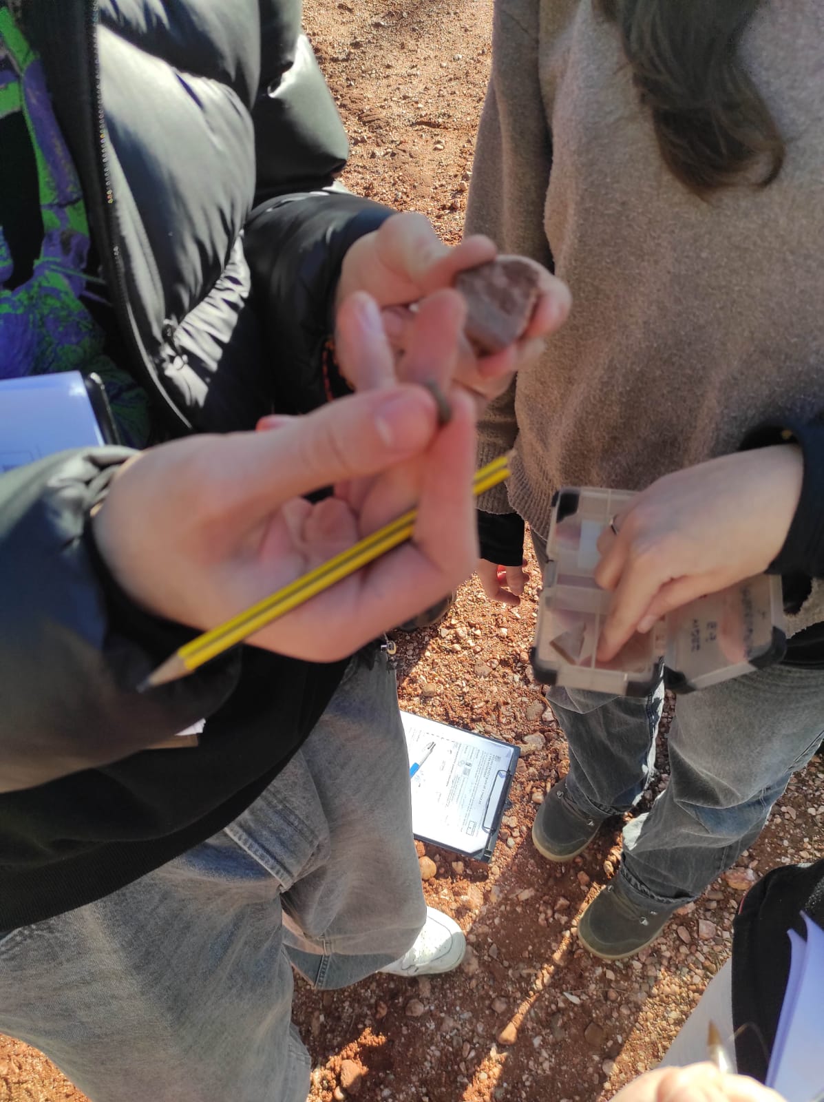 WhatsApp Image 2026-02-09 at 09.03.18 (1)