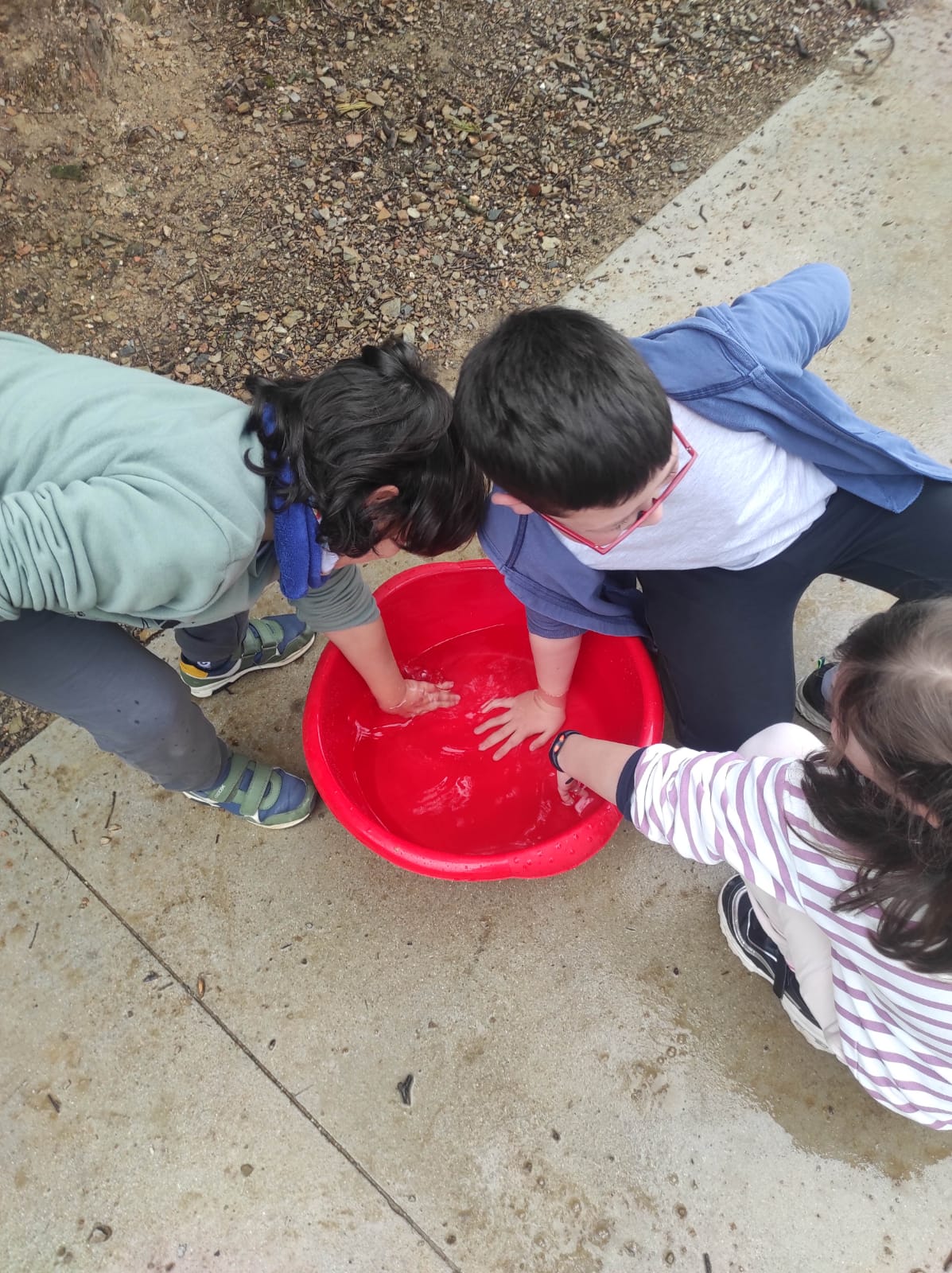 WhatsApp Image 2026-02-09 at 09.42.28 (2)