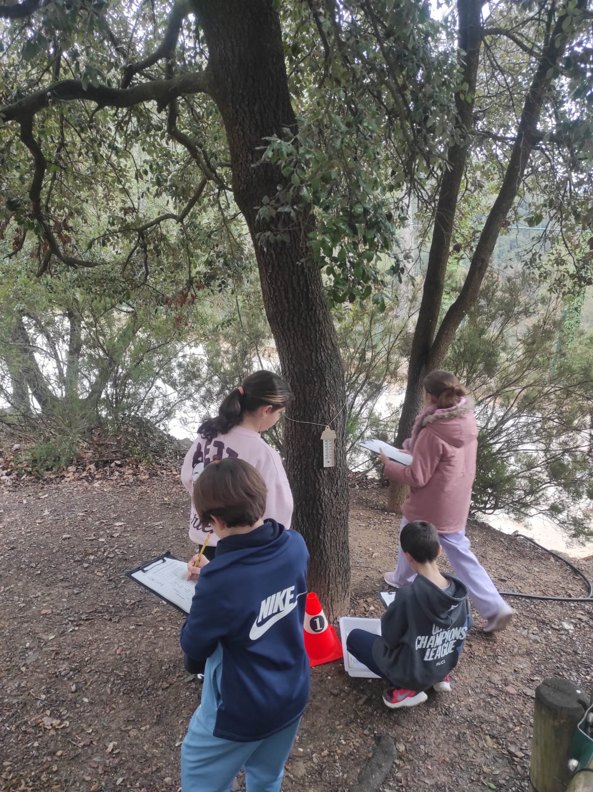 WhatsApp Image 2026-02-09 at 09.42.29