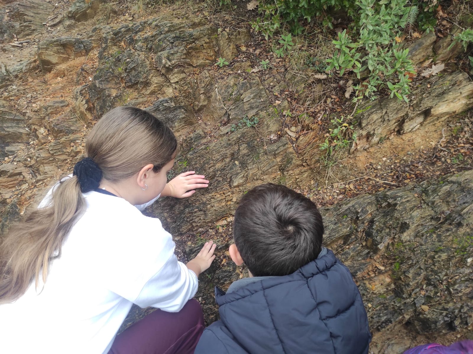 WhatsApp Image 2026-02-09 at 09.42.30 (1)