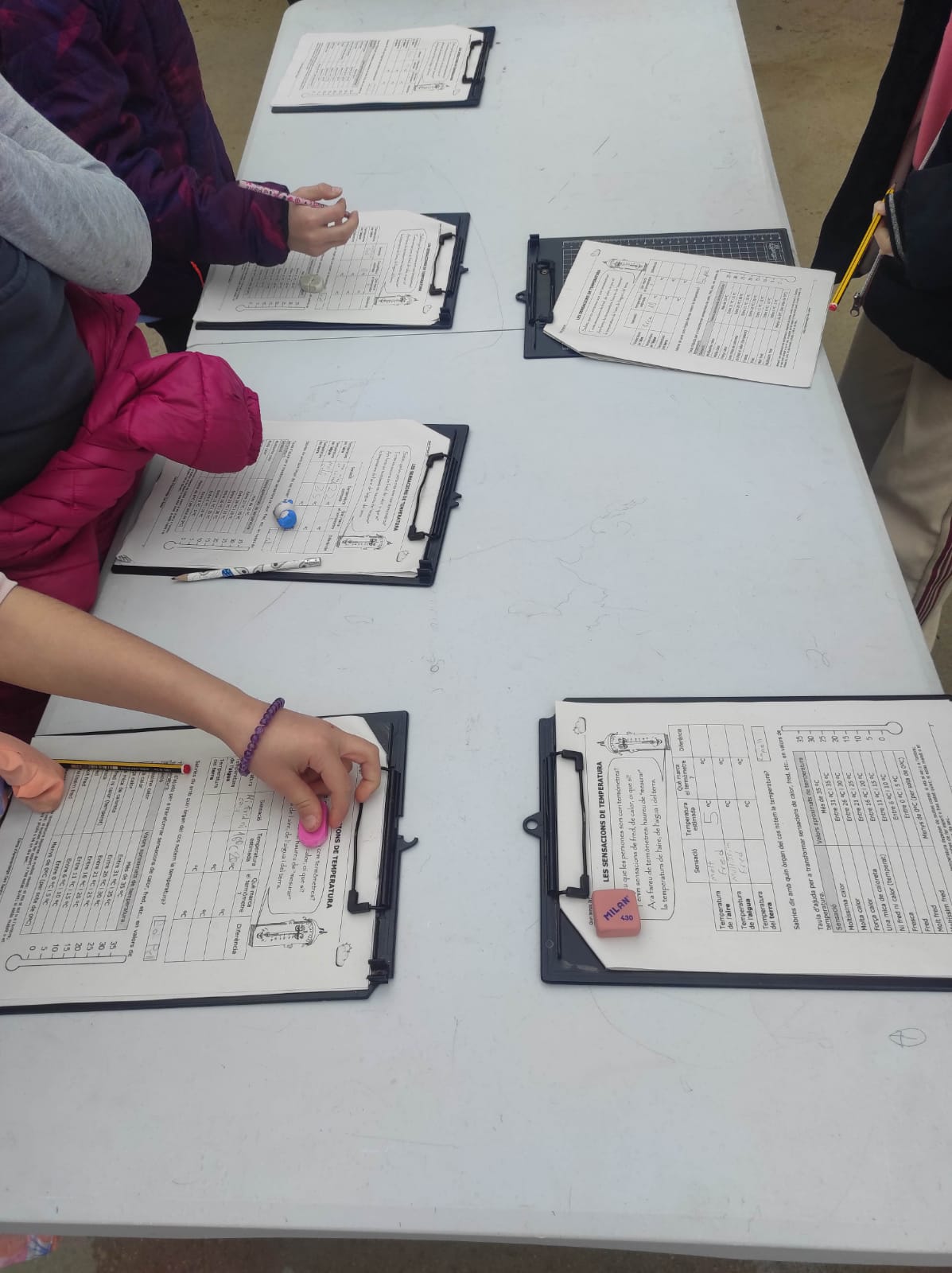 WhatsApp Image 2026-02-09 at 09.42.30 (2)