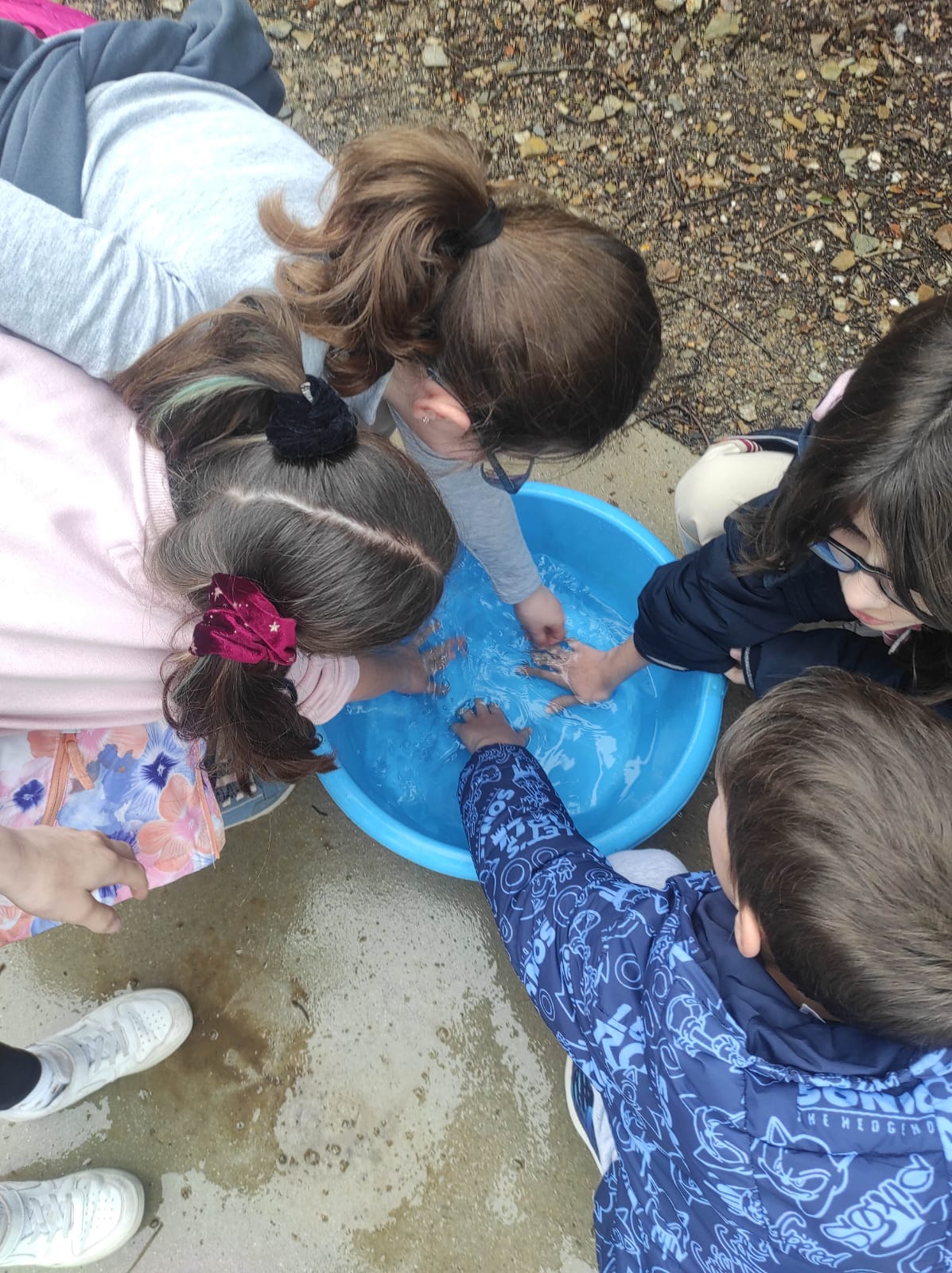 WhatsApp Image 2026-02-09 at 09.42.30 (3)