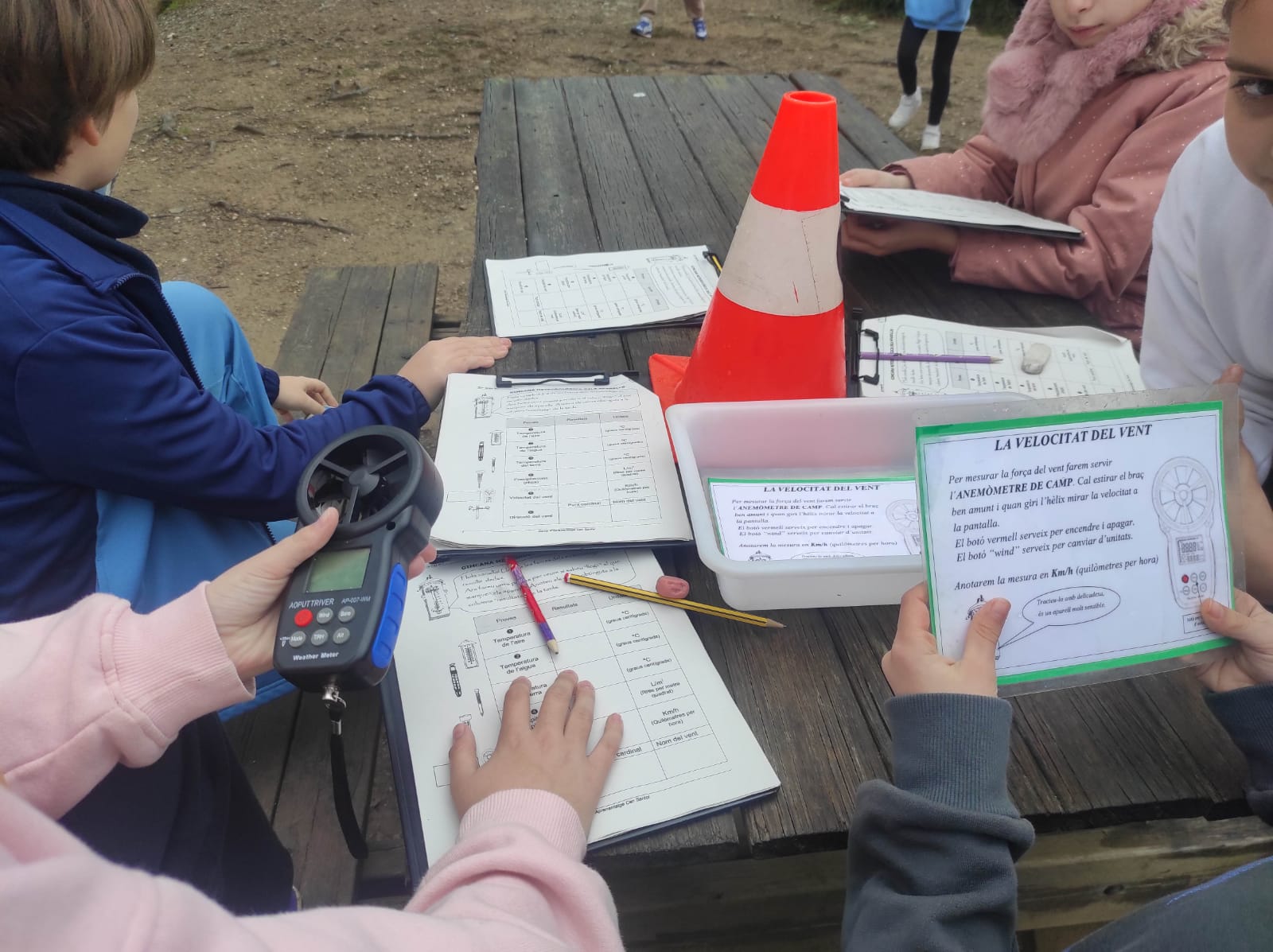 WhatsApp Image 2026-02-09 at 09.42.30