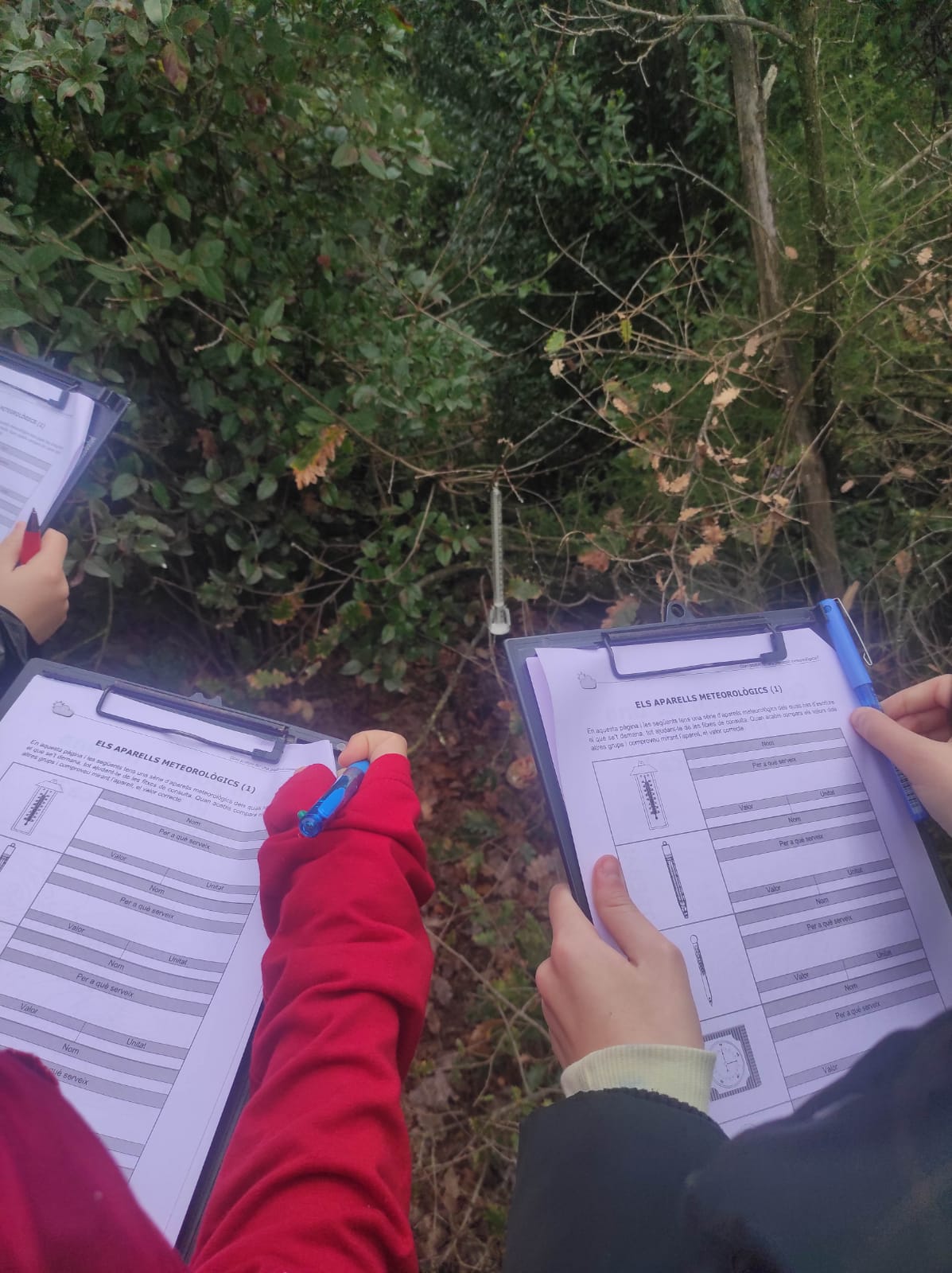 WhatsApp Image 2026-02-10 at 14.58.21 (5)