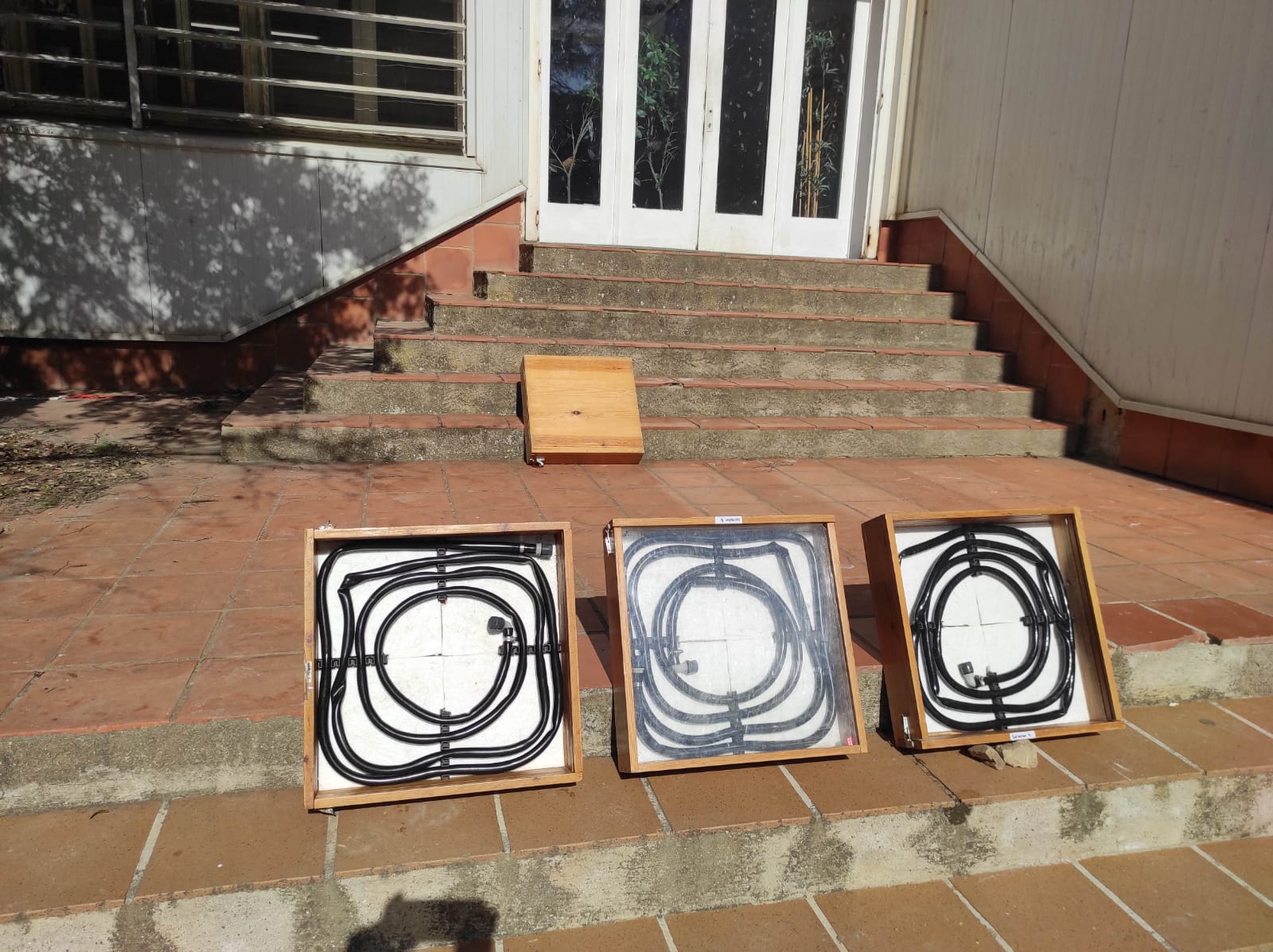 WhatsApp Image 2026-02-17 at 20.55.17 (1)