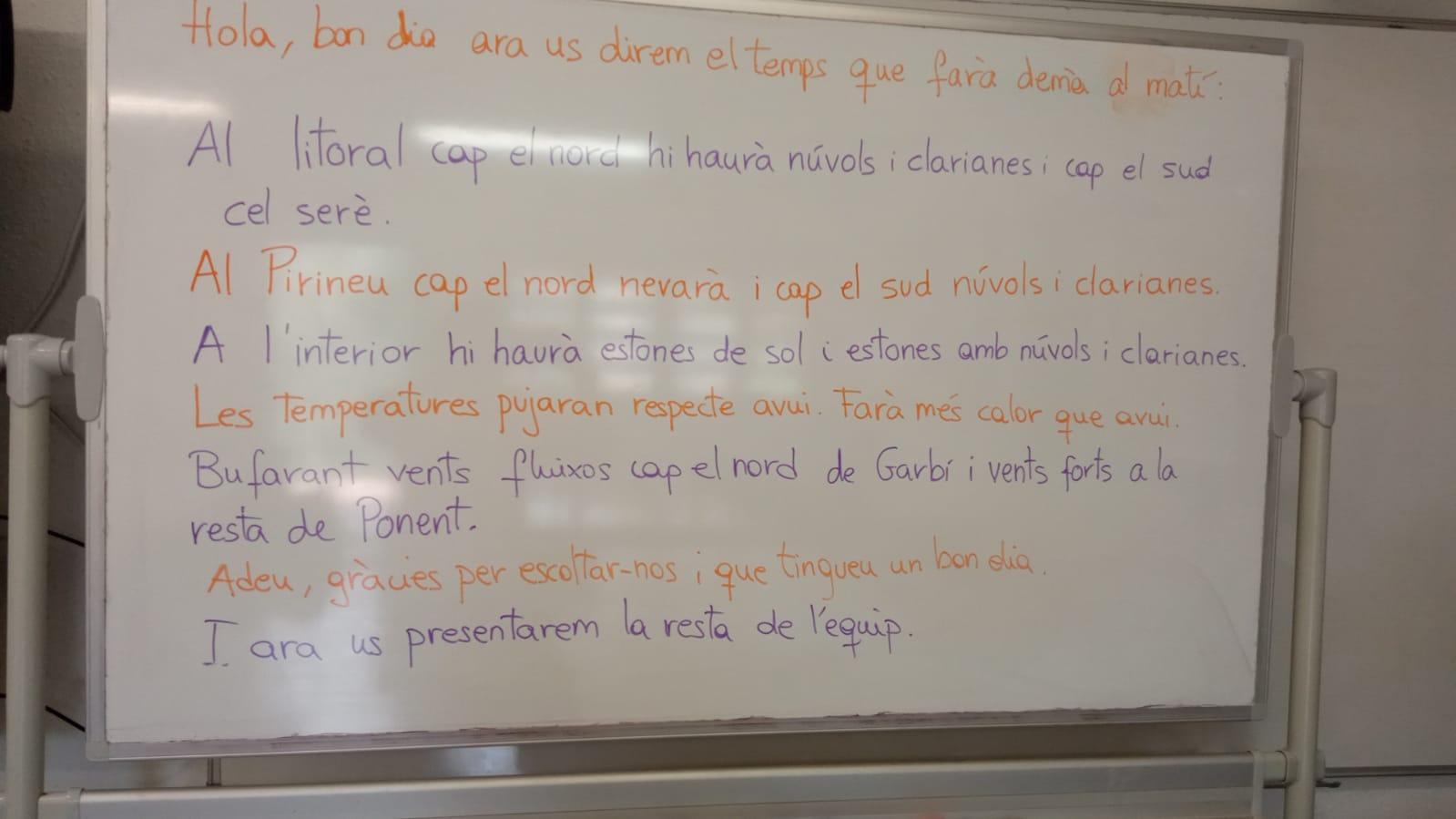 WhatsApp Image 2026-02-18 at 14.12.50