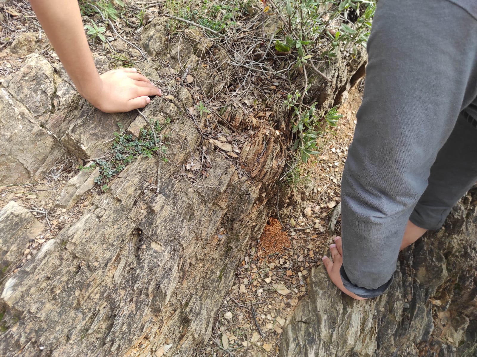 WhatsApp Image 2026-02-18 at 14.32.40