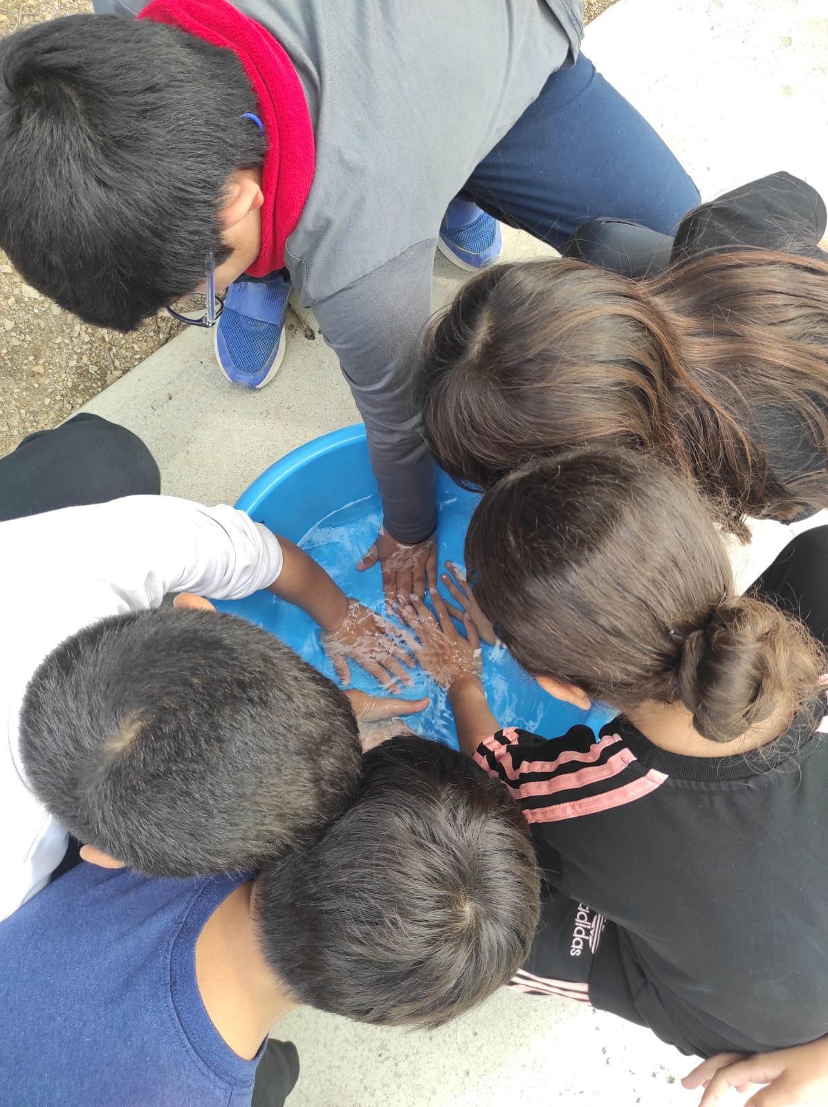 WhatsApp Image 2026-02-18 at 14.32.50 (1)