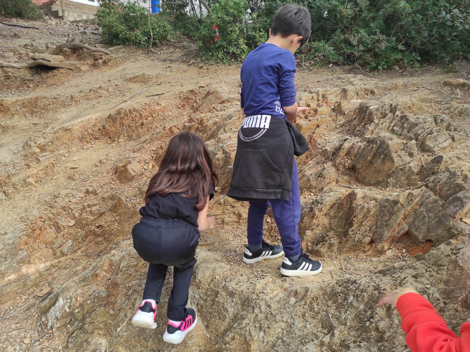 WhatsApp Image 2026-02-18 at 14.32.50