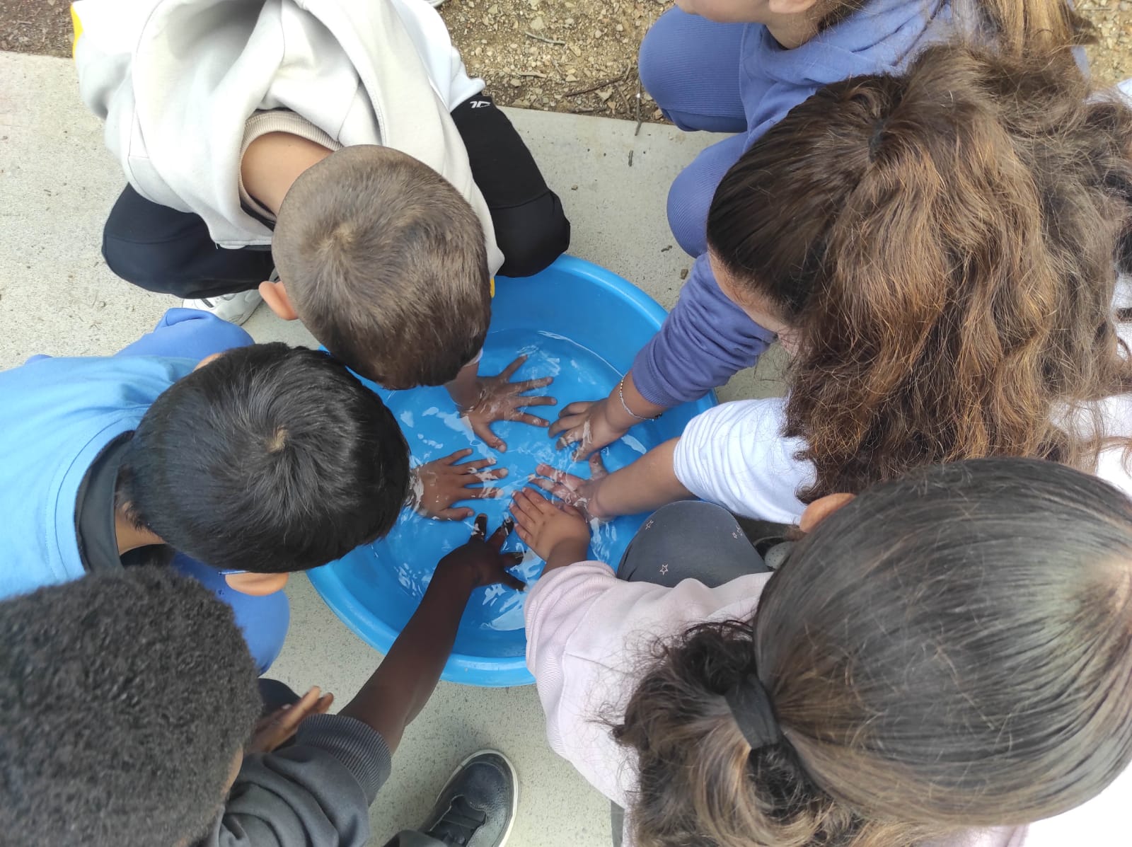 WhatsApp Image 2026-02-18 at 14.32.52 (1)