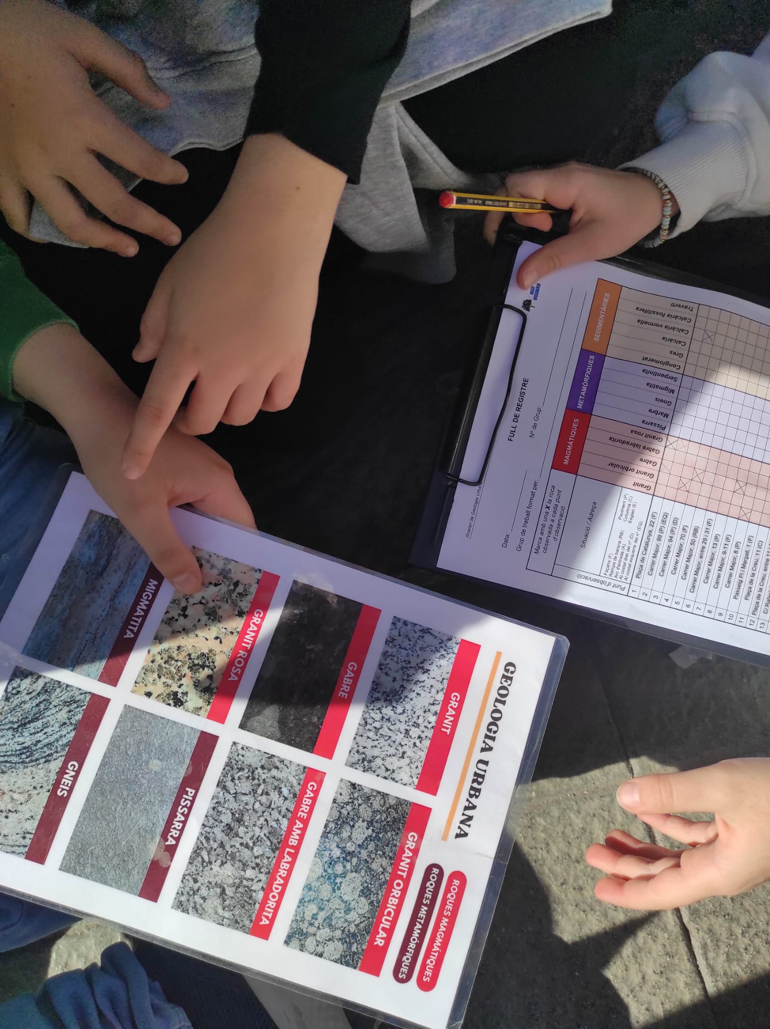 WhatsApp Image 2026-02-24 at 13.39.37