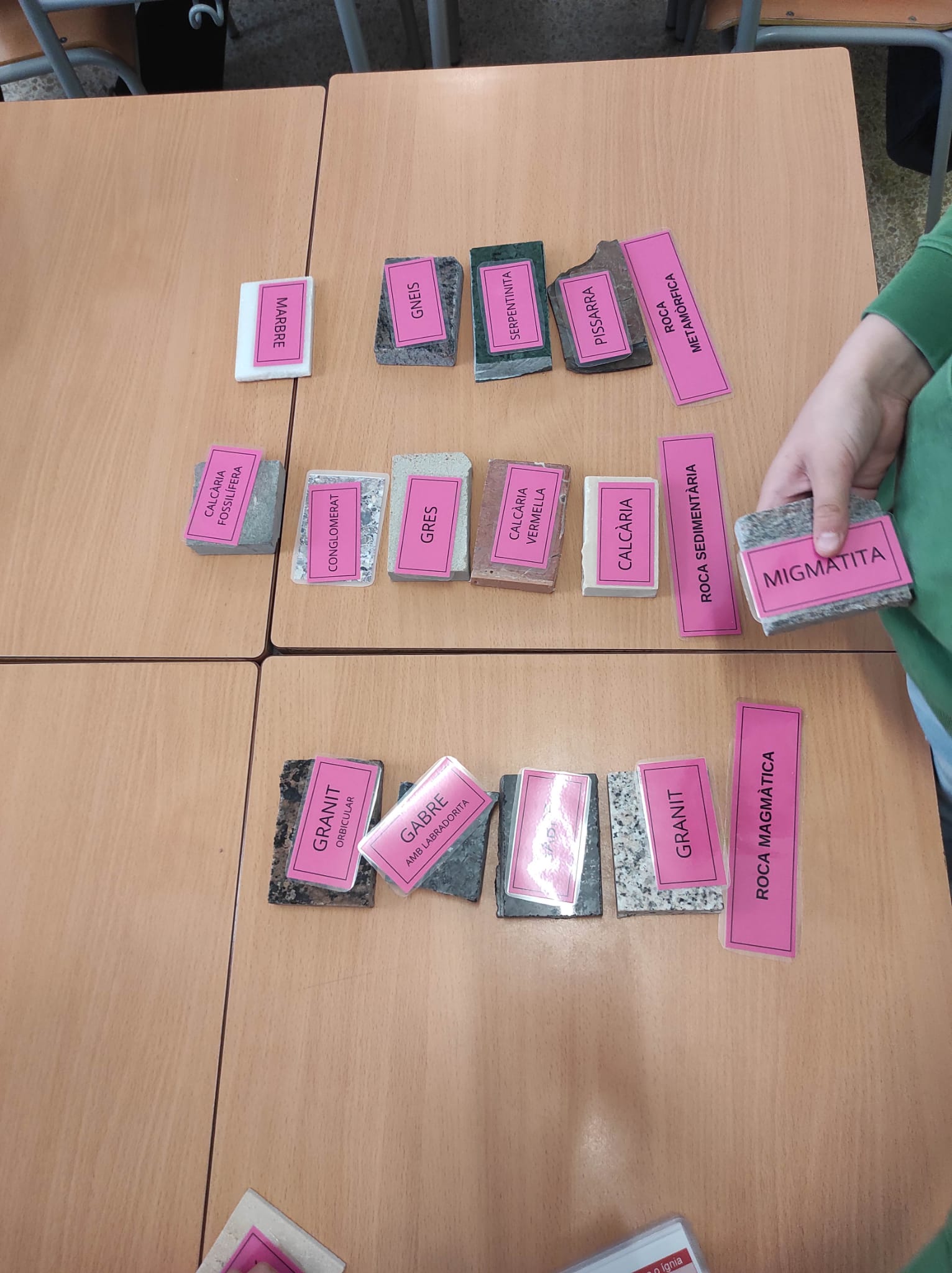 WhatsApp Image 2026-02-24 at 13.39.43