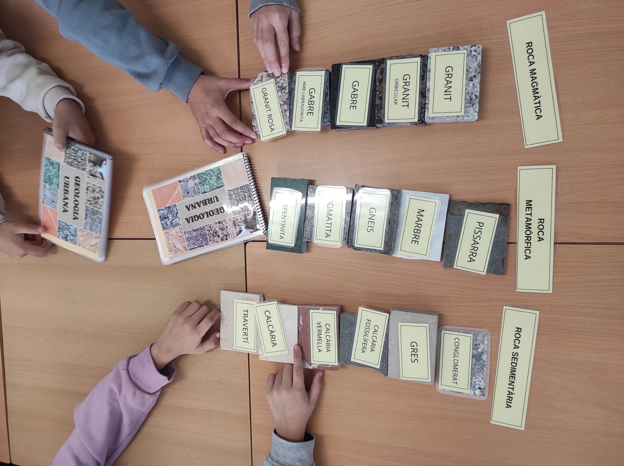 WhatsApp Image 2026-02-24 at 13.39.47 (2)