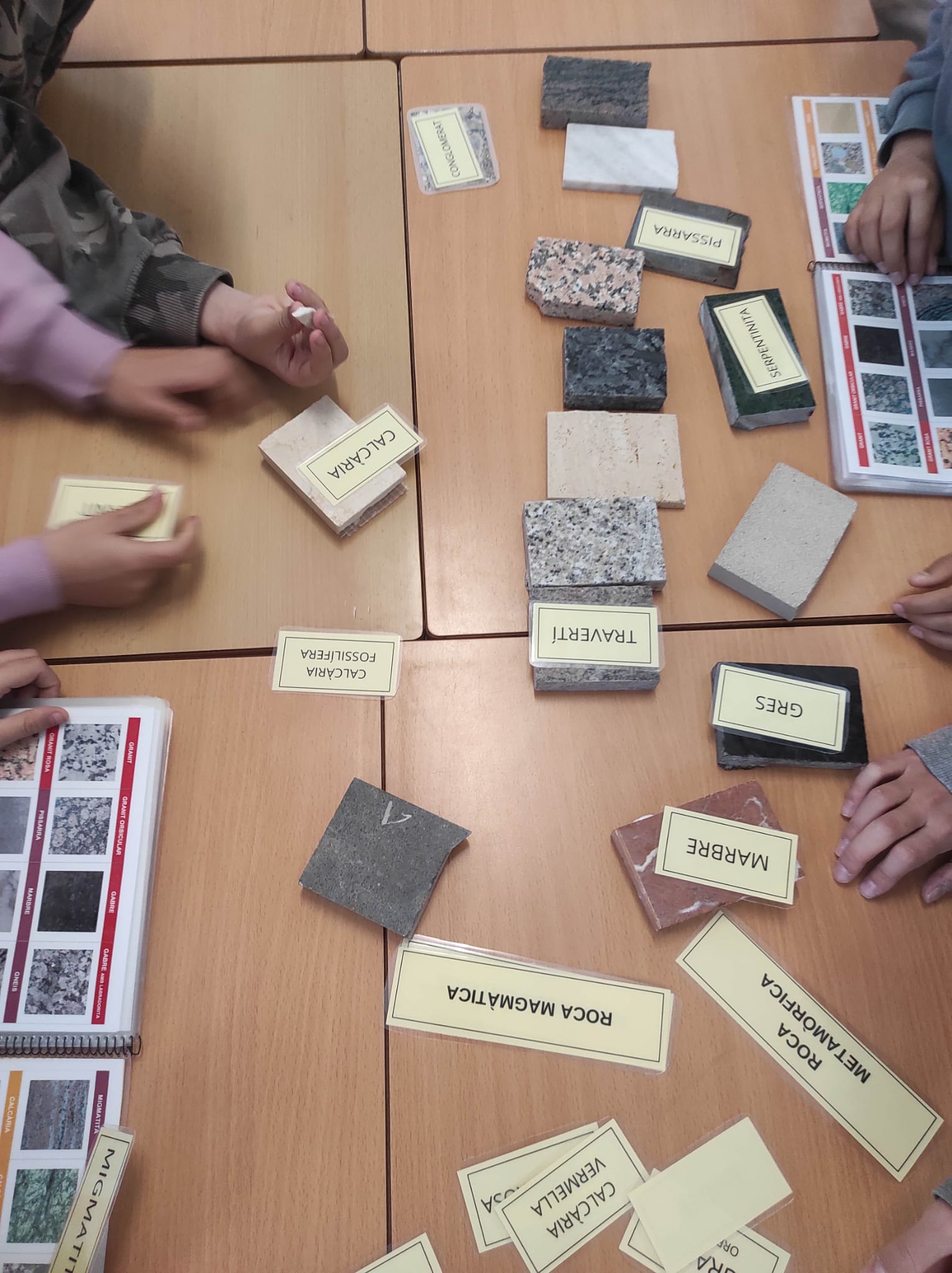 WhatsApp Image 2026-02-24 at 13.39.48 (1)