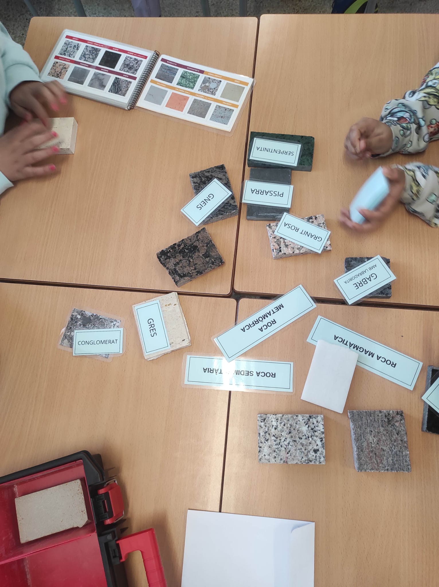 WhatsApp Image 2026-02-24 at 13.39.48