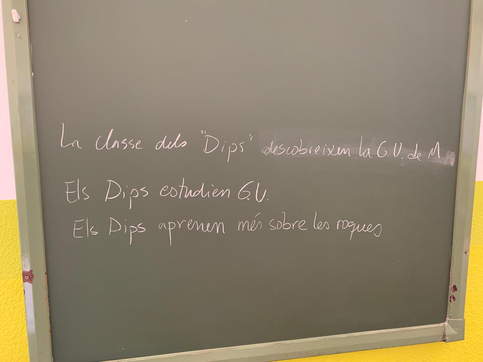 WhatsApp Image 2026-02-25 at 15.05.08 (4)