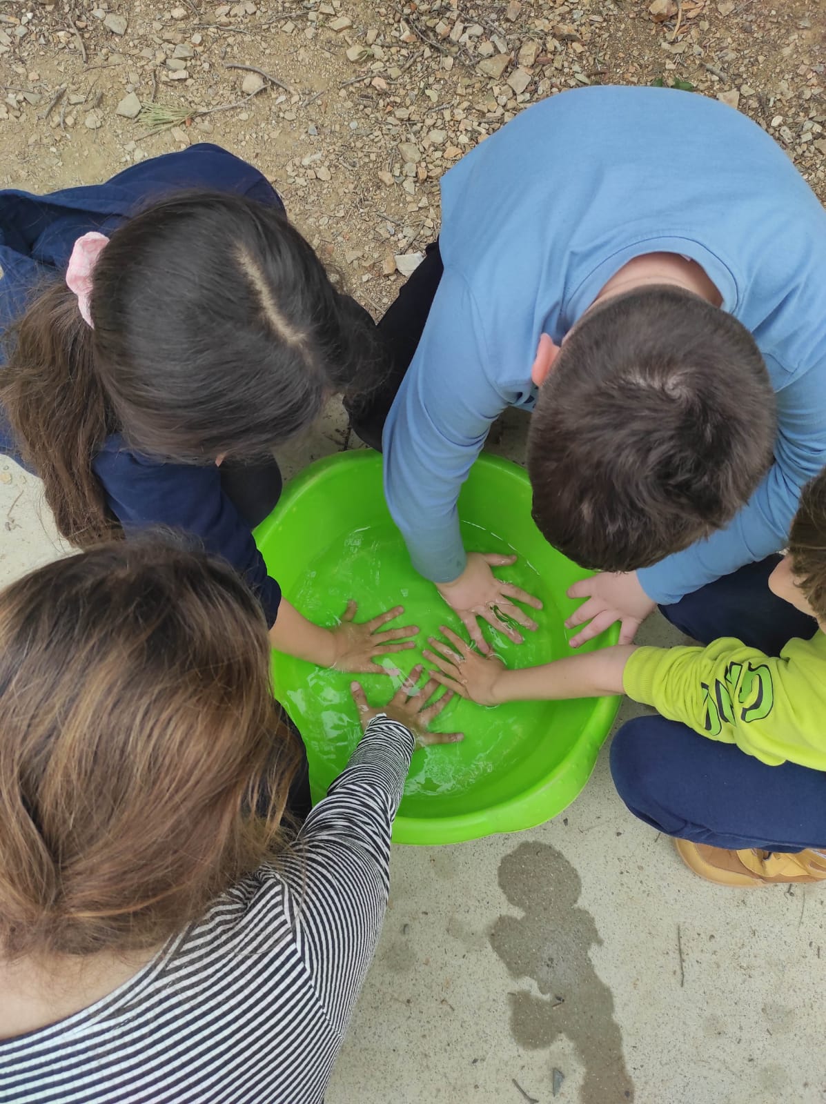 WhatsApp Image 2026-03-02 at 14.17.02