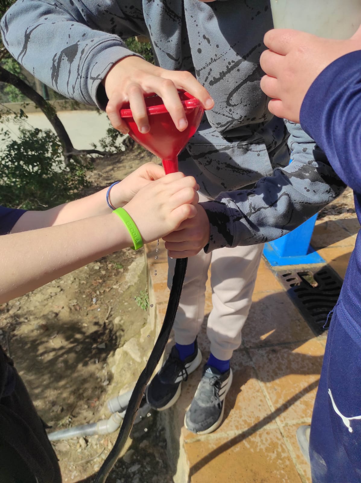 WhatsApp Image 2026-03-02 at 14.22.33