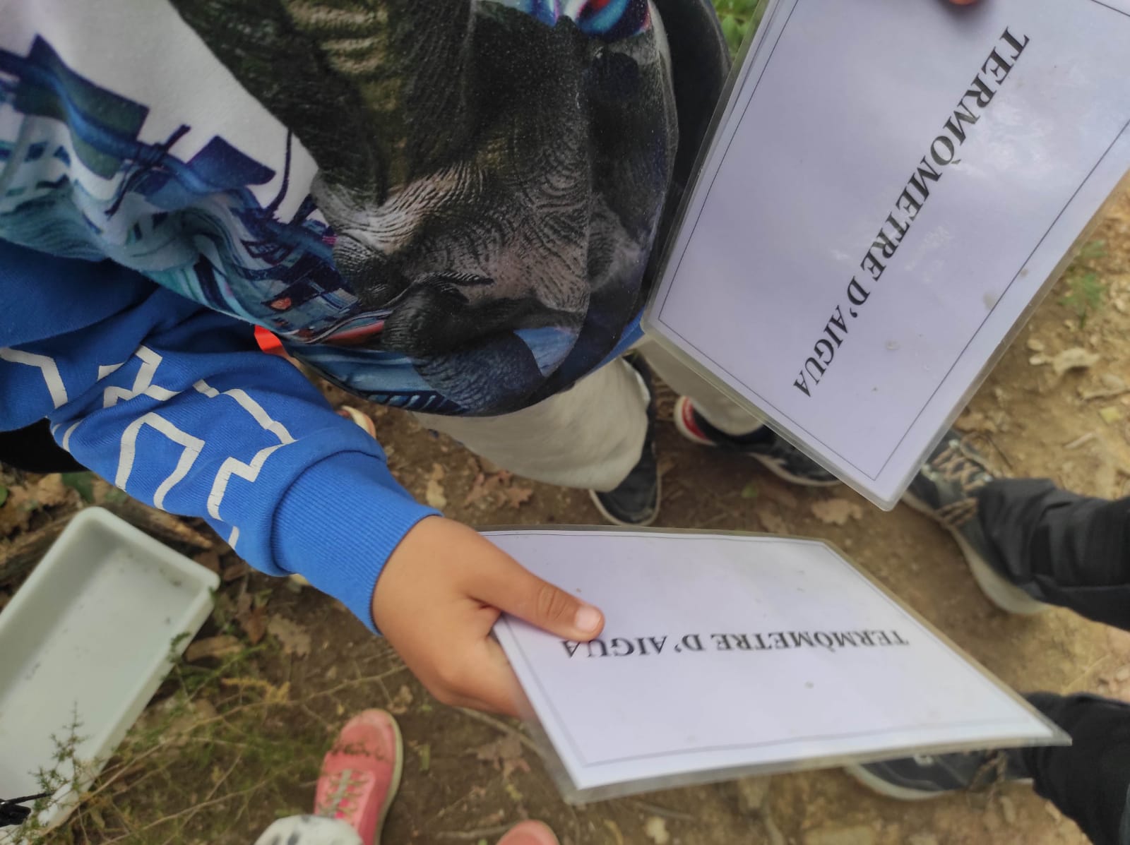 WhatsApp Image 2026-03-04 at 13.59.09 (1)