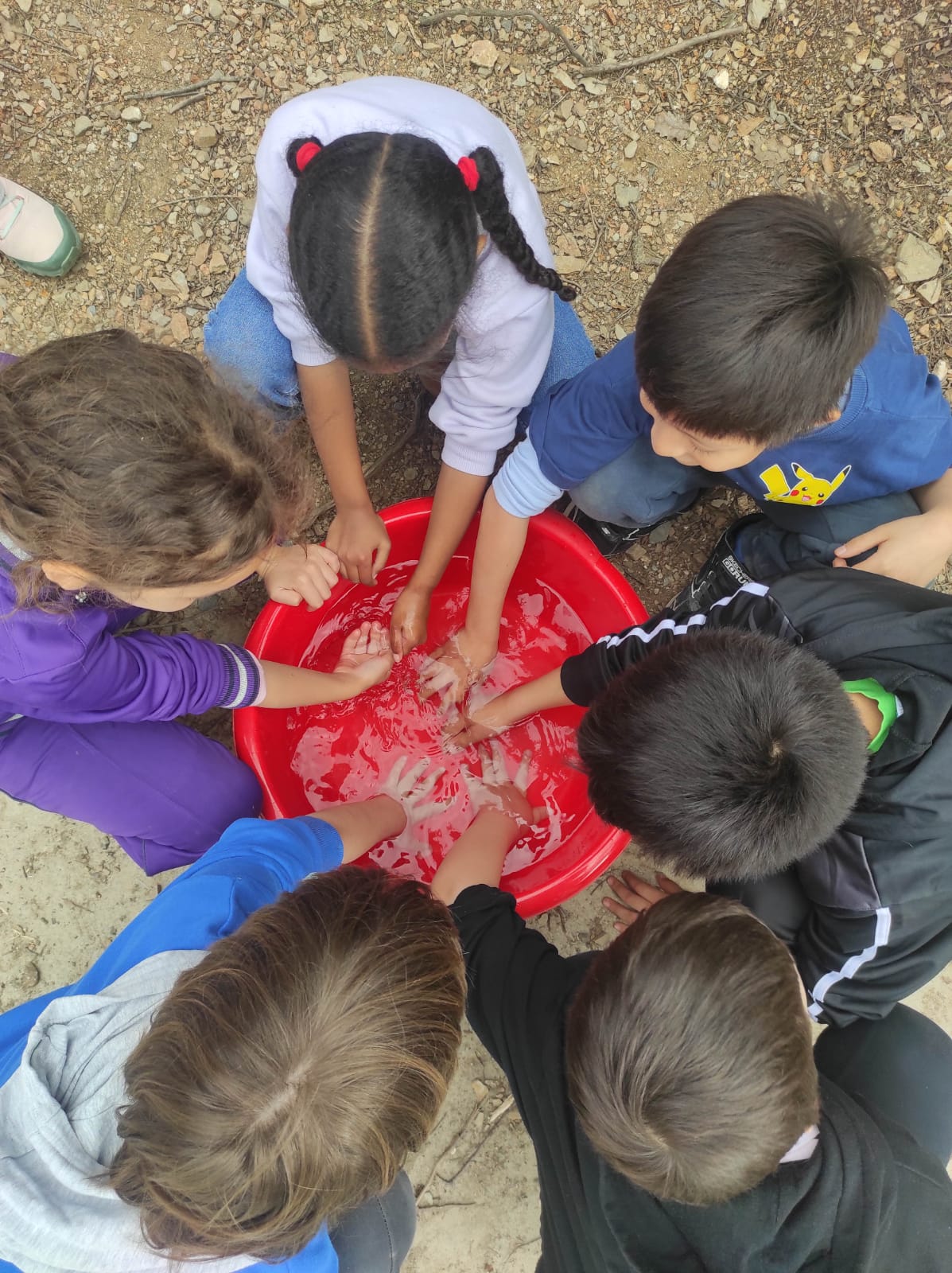 WhatsApp Image 2026-03-04 at 13.59.10 (2)