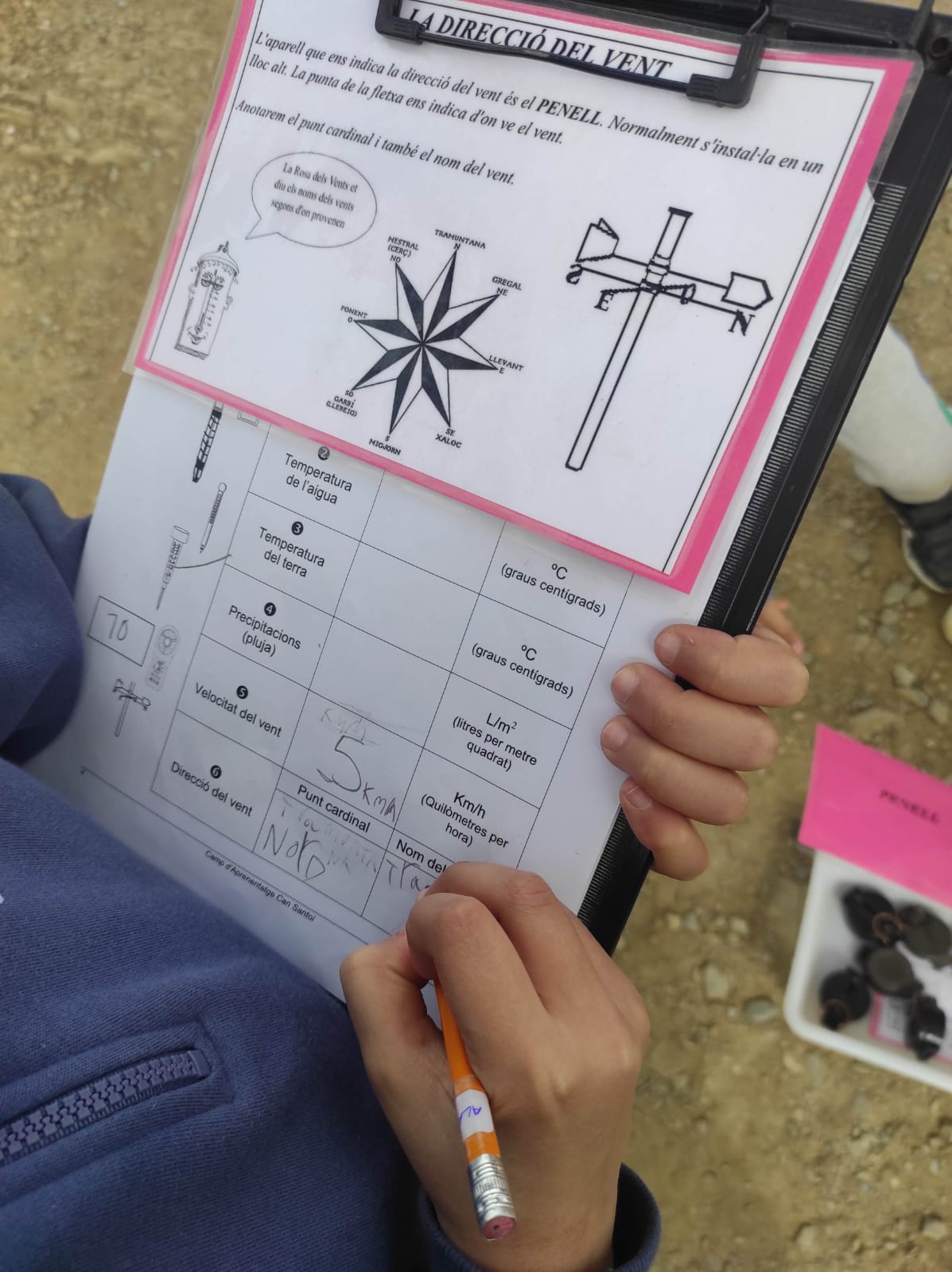 WhatsApp Image 2026-03-04 at 13.59.10