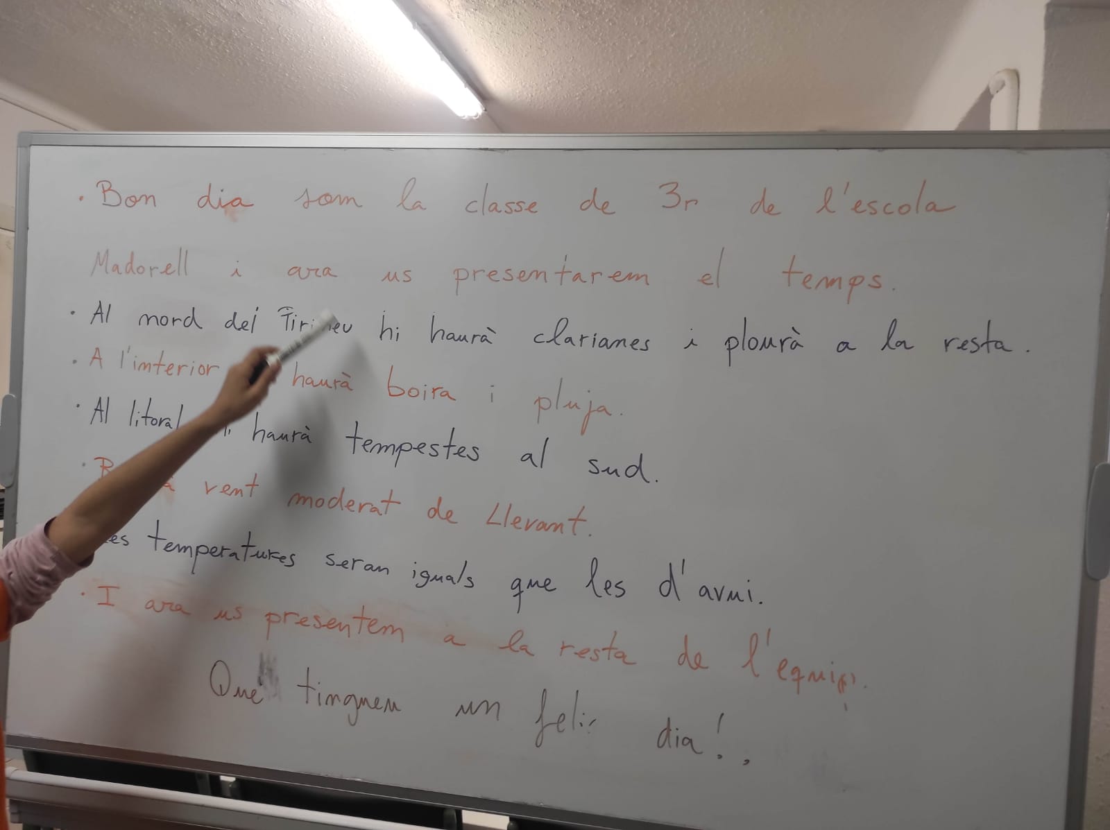 WhatsApp Image 2026-03-05 at 14.08.46