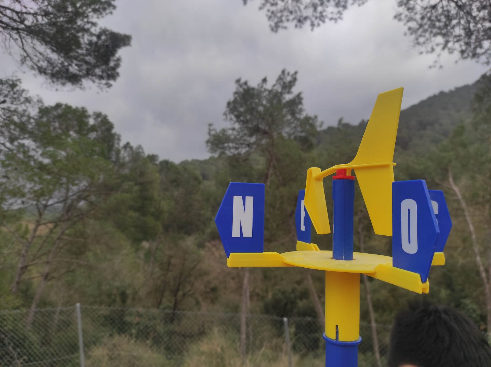 WhatsApp Image 2026-03-05 at 14.08.49