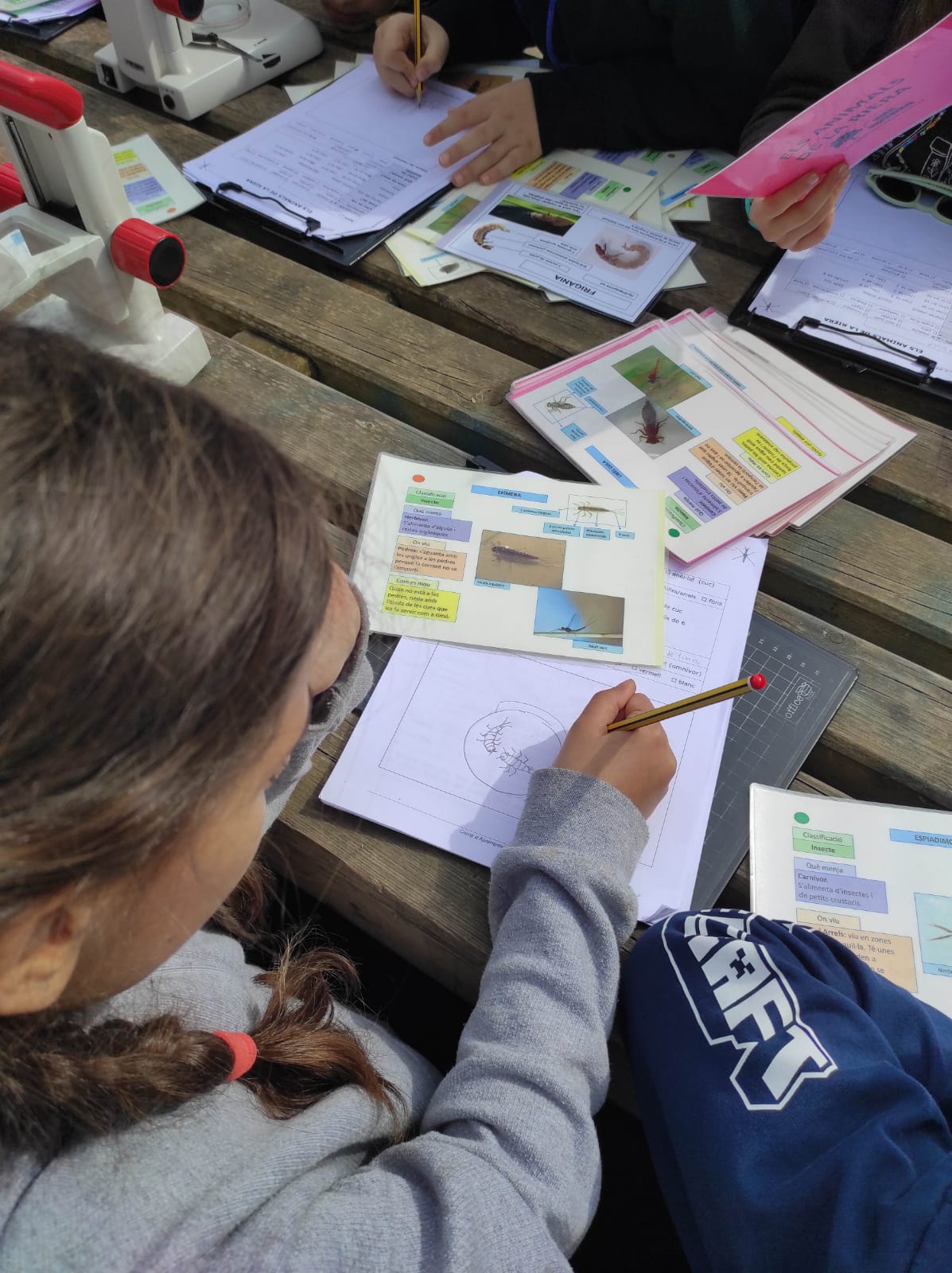 WhatsApp Image 2026-03-10 at 17.45.38