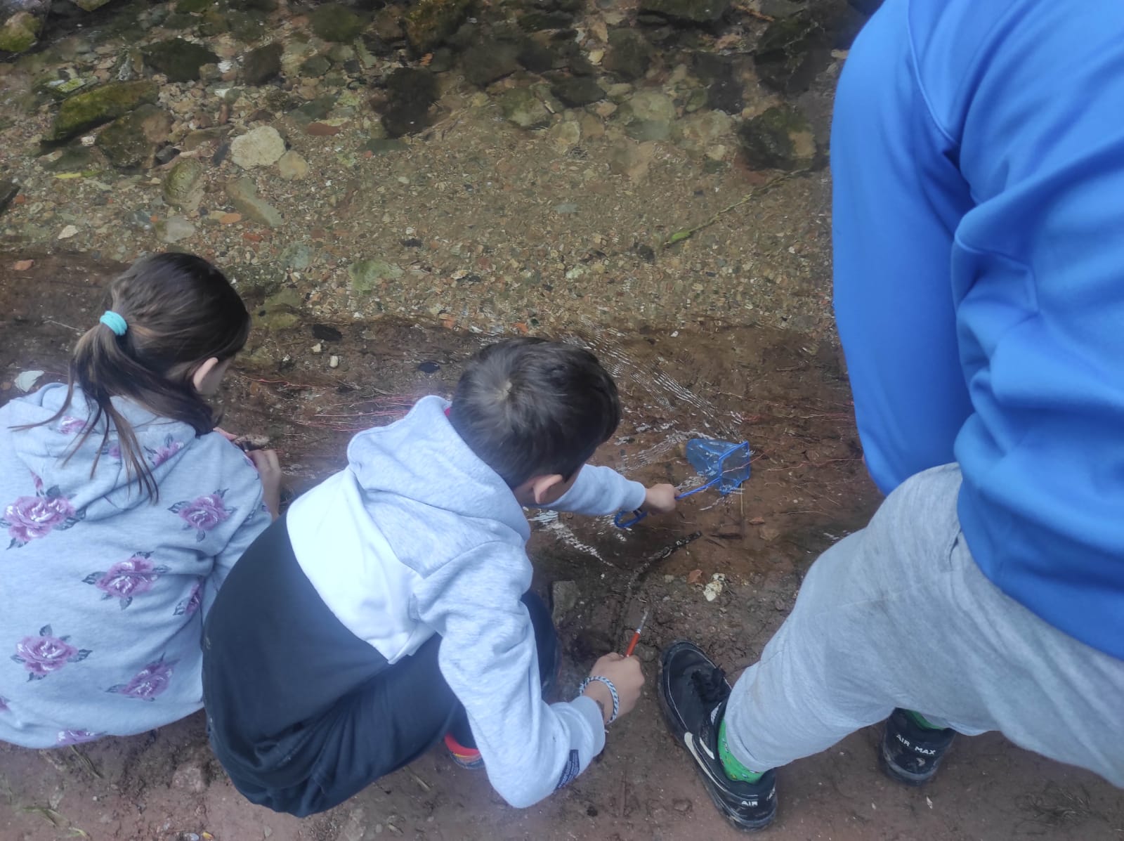 WhatsApp Image 2026-03-10 at 17.45.43