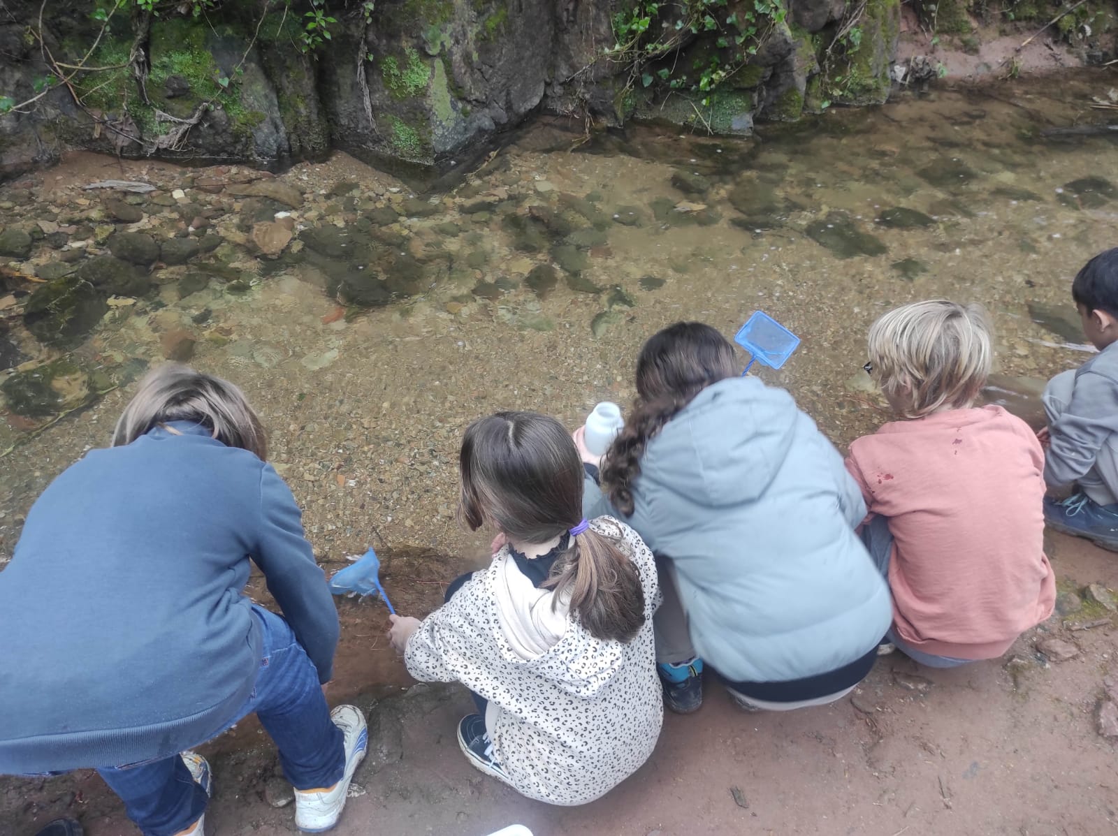 WhatsApp Image 2026-03-10 at 17.45.45