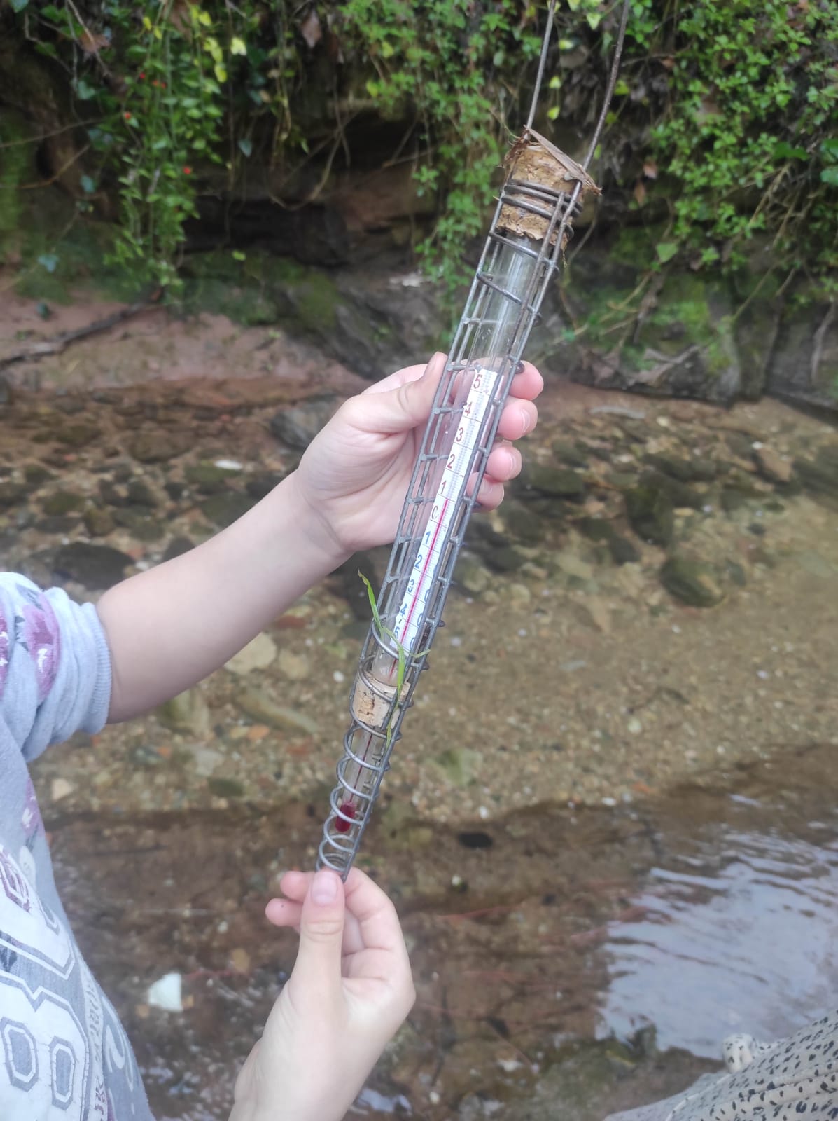 WhatsApp Image 2026-03-10 at 17.45.47