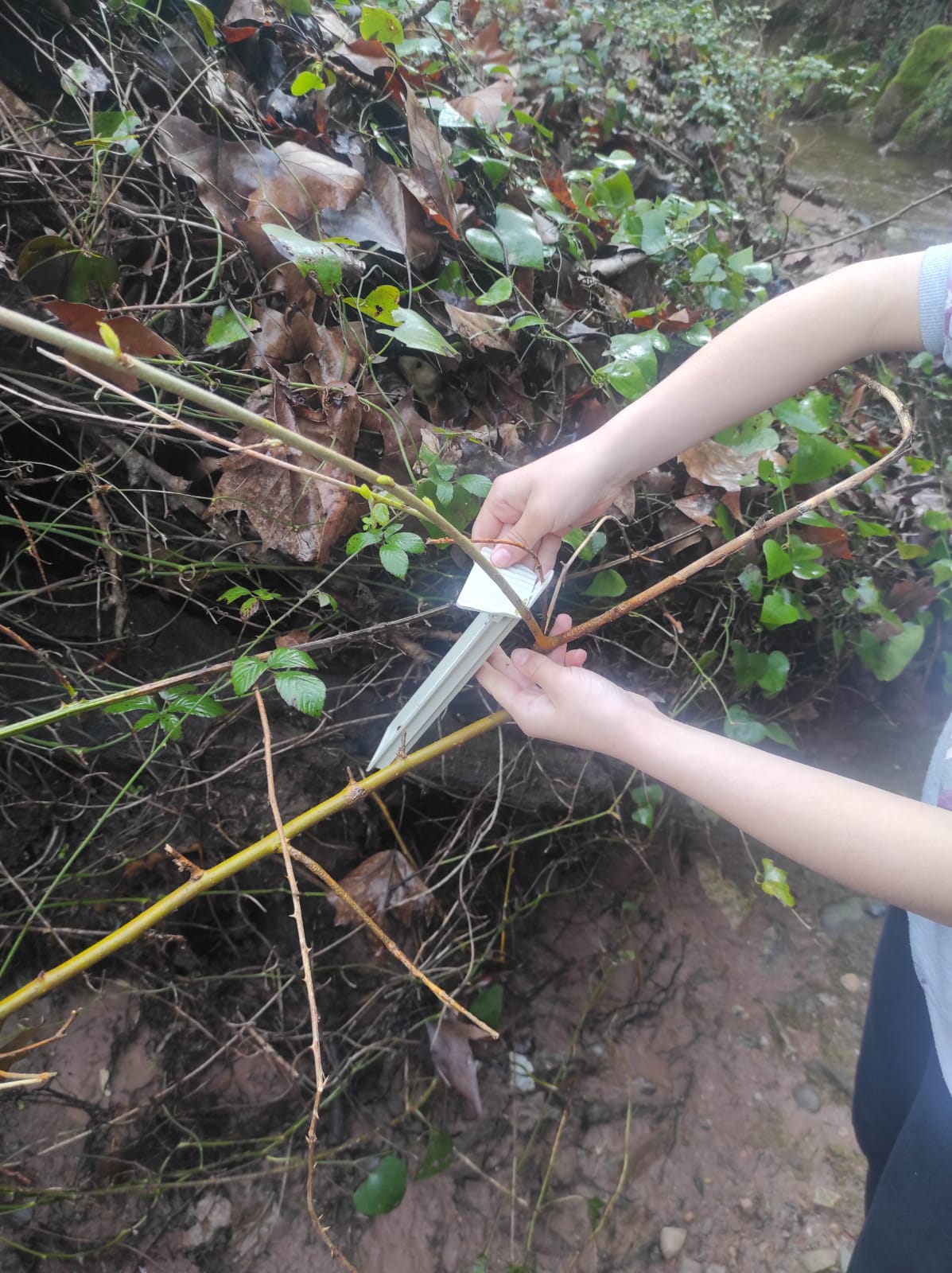 WhatsApp Image 2026-03-10 at 17.45.49