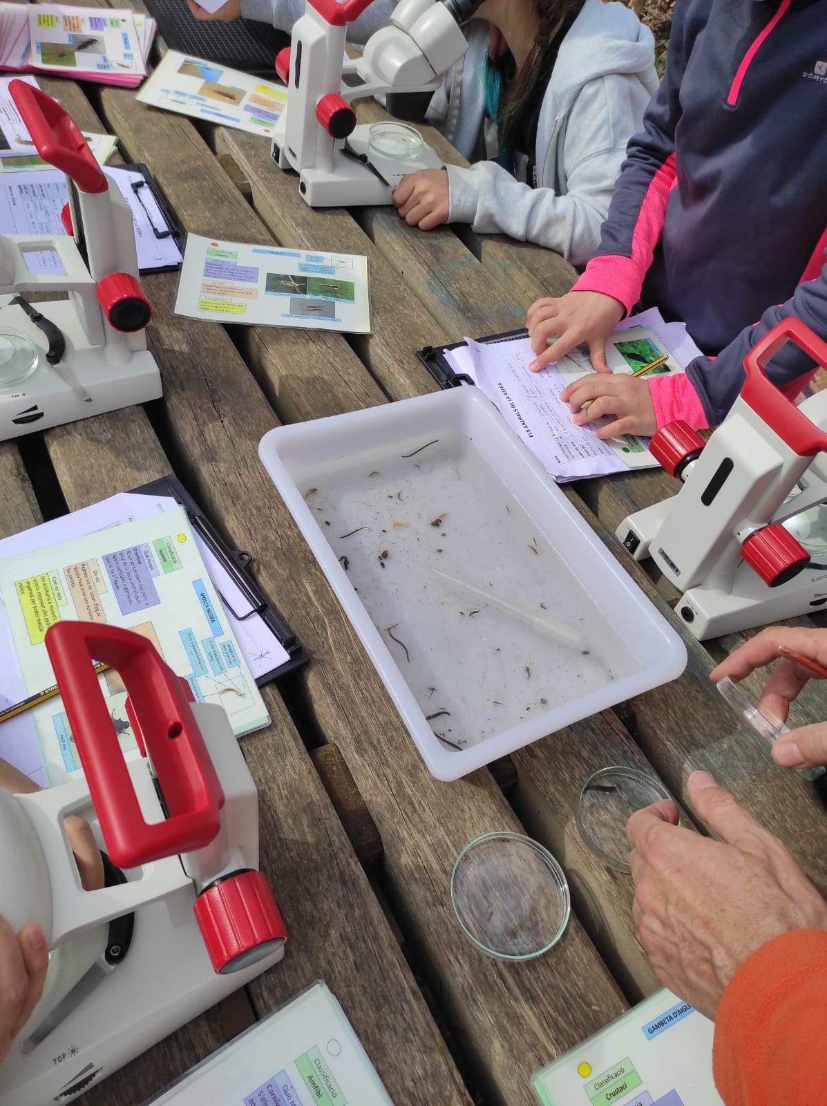 WhatsApp Image 2026-03-10 at 17.47.30